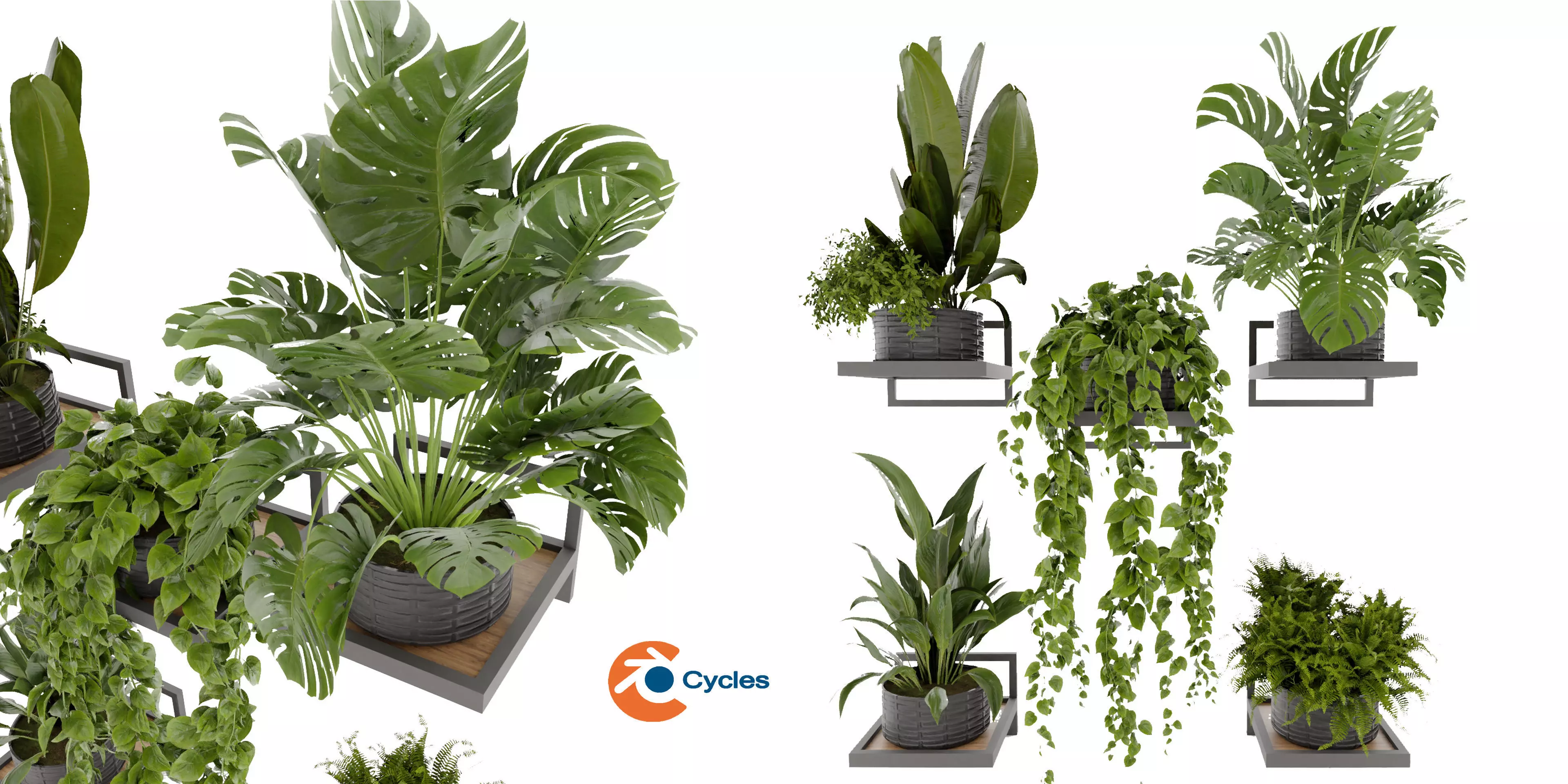 Collection plant vol 490 - hanging- palm - blender model 3D model_0