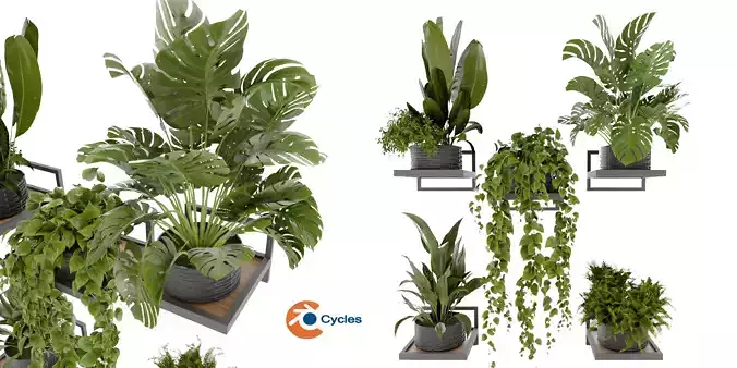 Collection plant vol 490 - hanging- palm - blender model