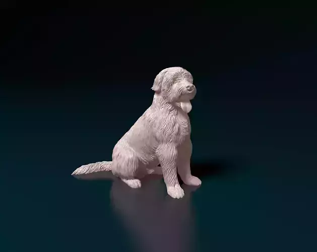 Catalan Sheepdog  3D print model