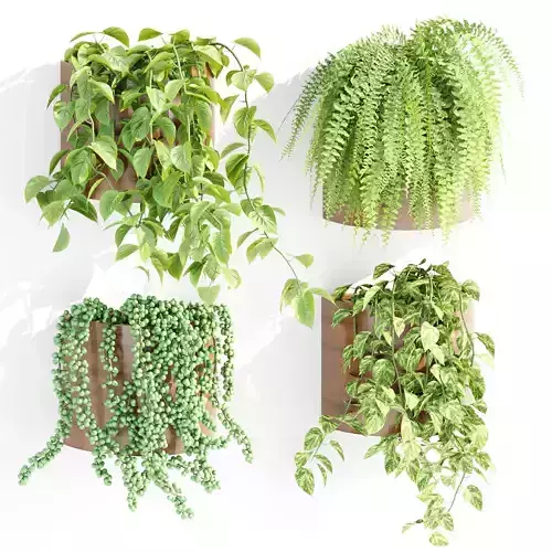 Wall hanging plants collection vol 206 3D model