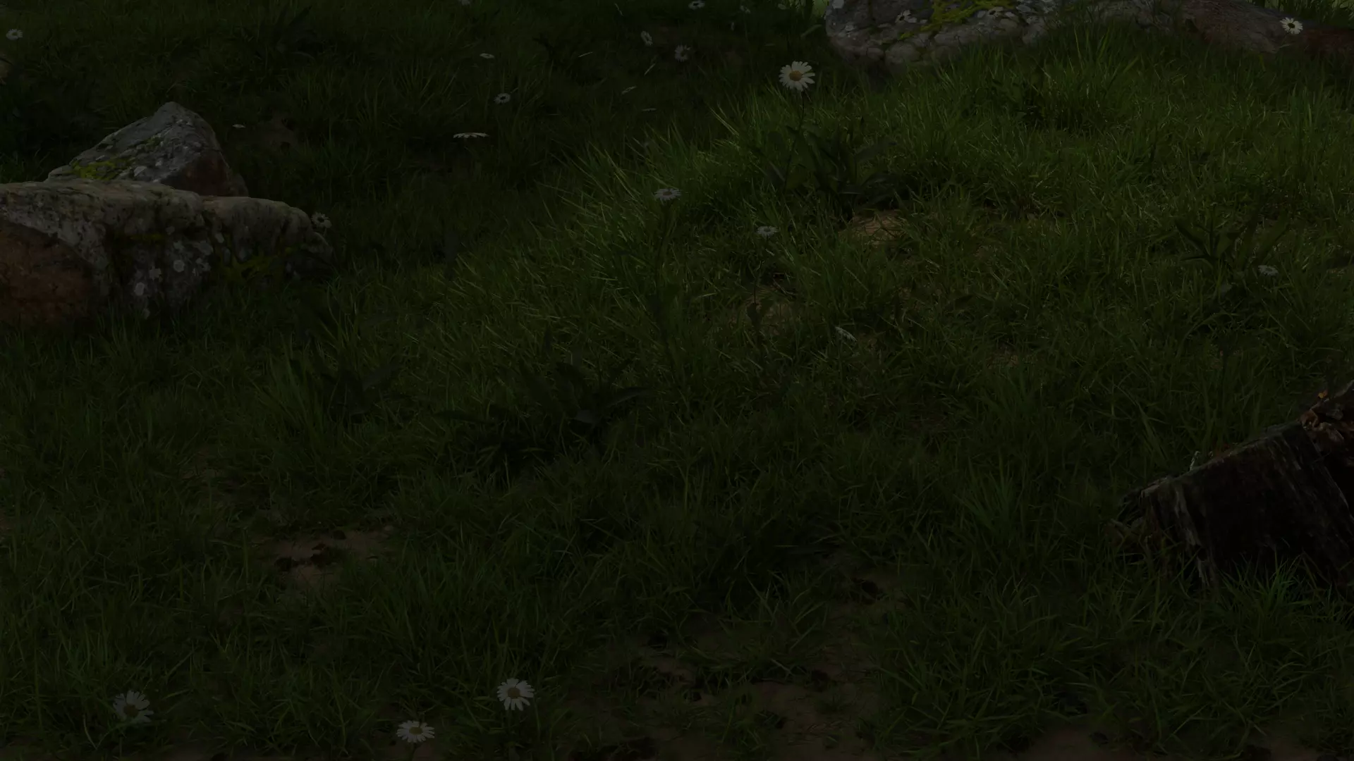 Daisy Grassland Low-poly 3D model_0