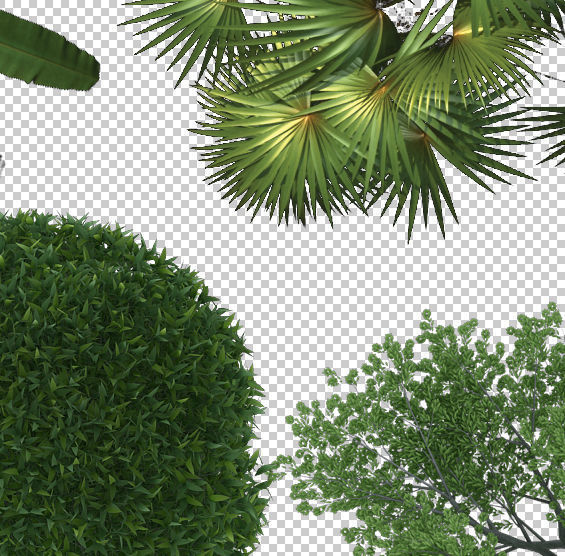 2D Trees and Shrubs  TopViews Collection 27 Layers  PNG PSD PDF  Texture_3