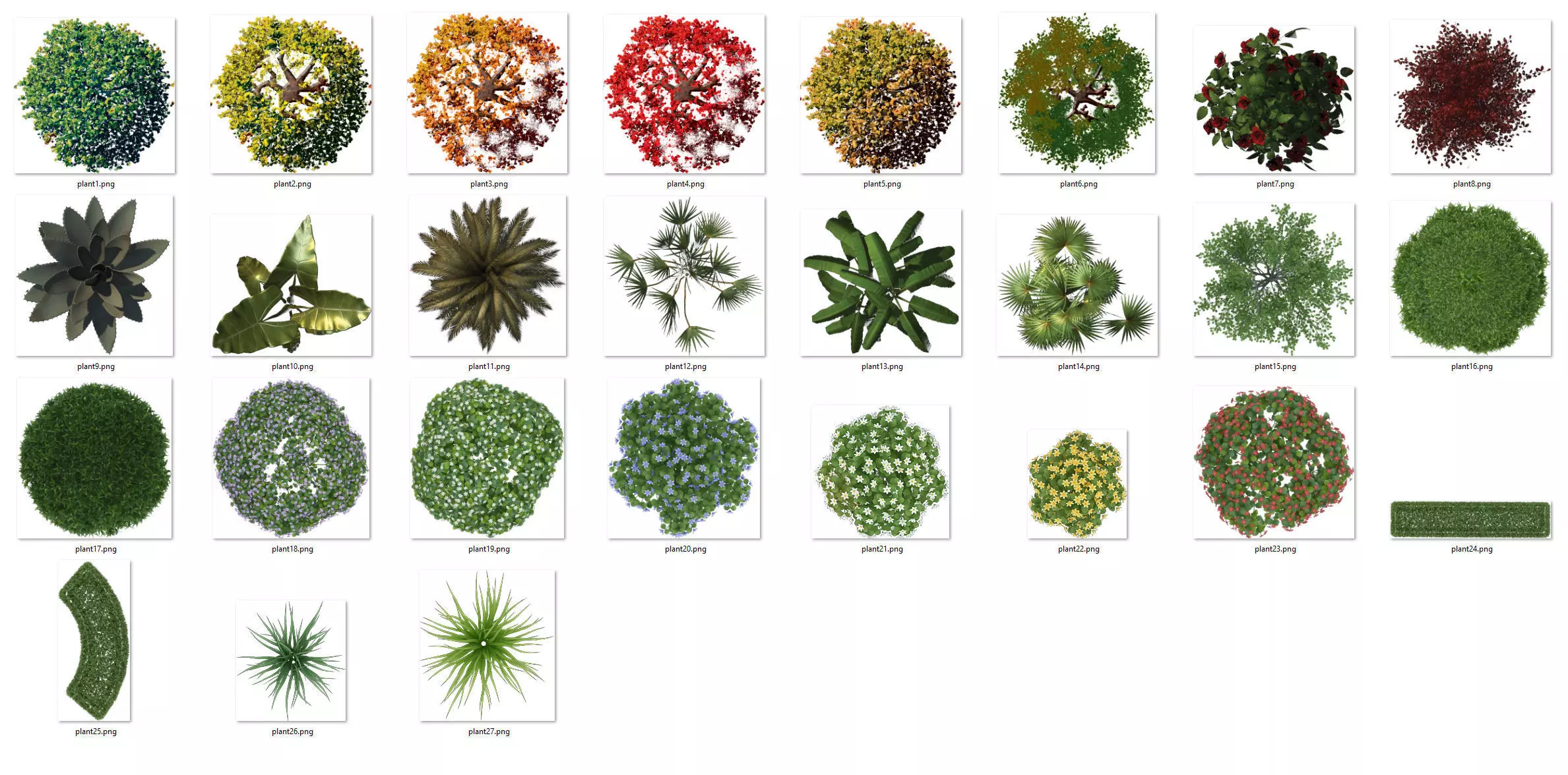 2D Trees and Shrubs  TopViews Collection 27 Layers  PNG PSD PDF  Texture_0