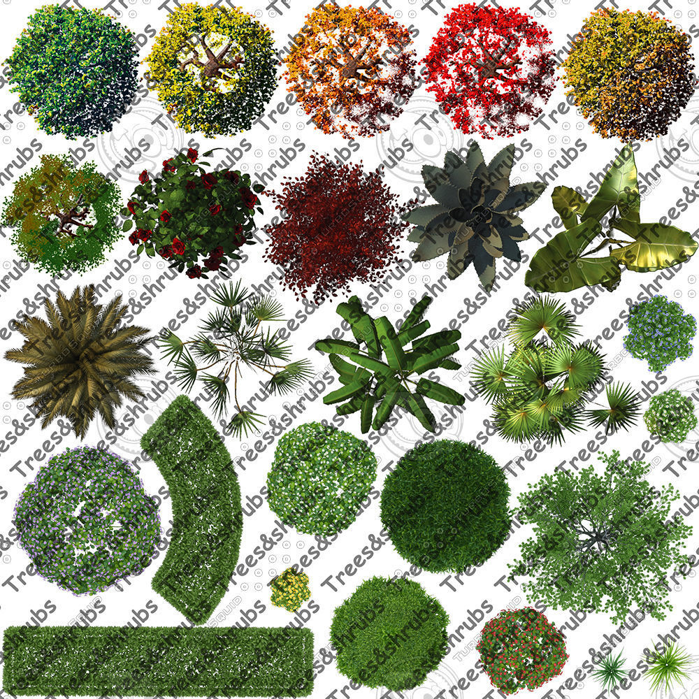 2D Trees and Shrubs  TopViews Collection 27 Layers  PNG PSD PDF  Texture_1