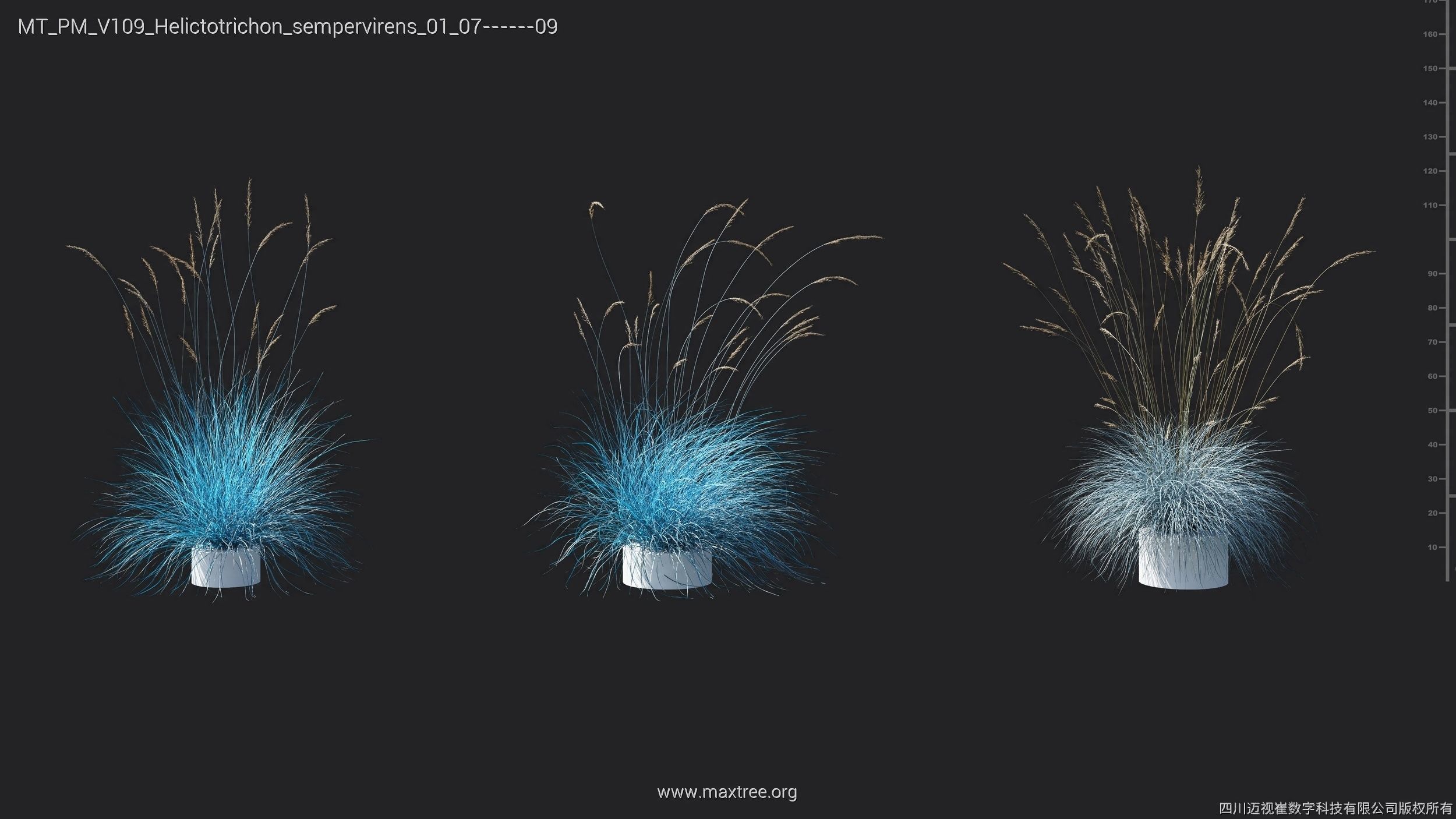 Maxtree Plant Models Vol 109 - Mesh 3D model_34