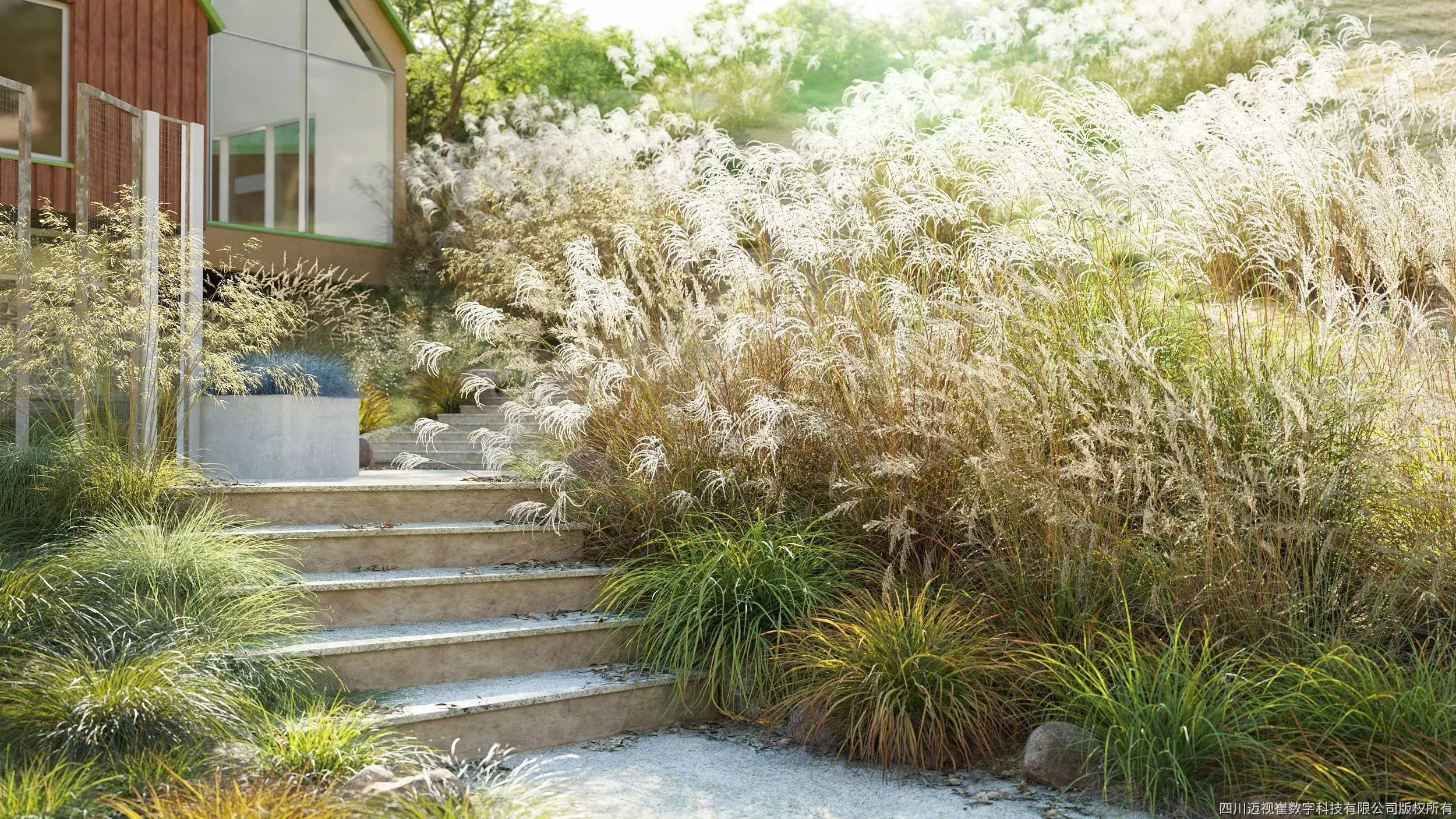 Maxtree Plant Models Vol 109 - Mesh 3D model_0