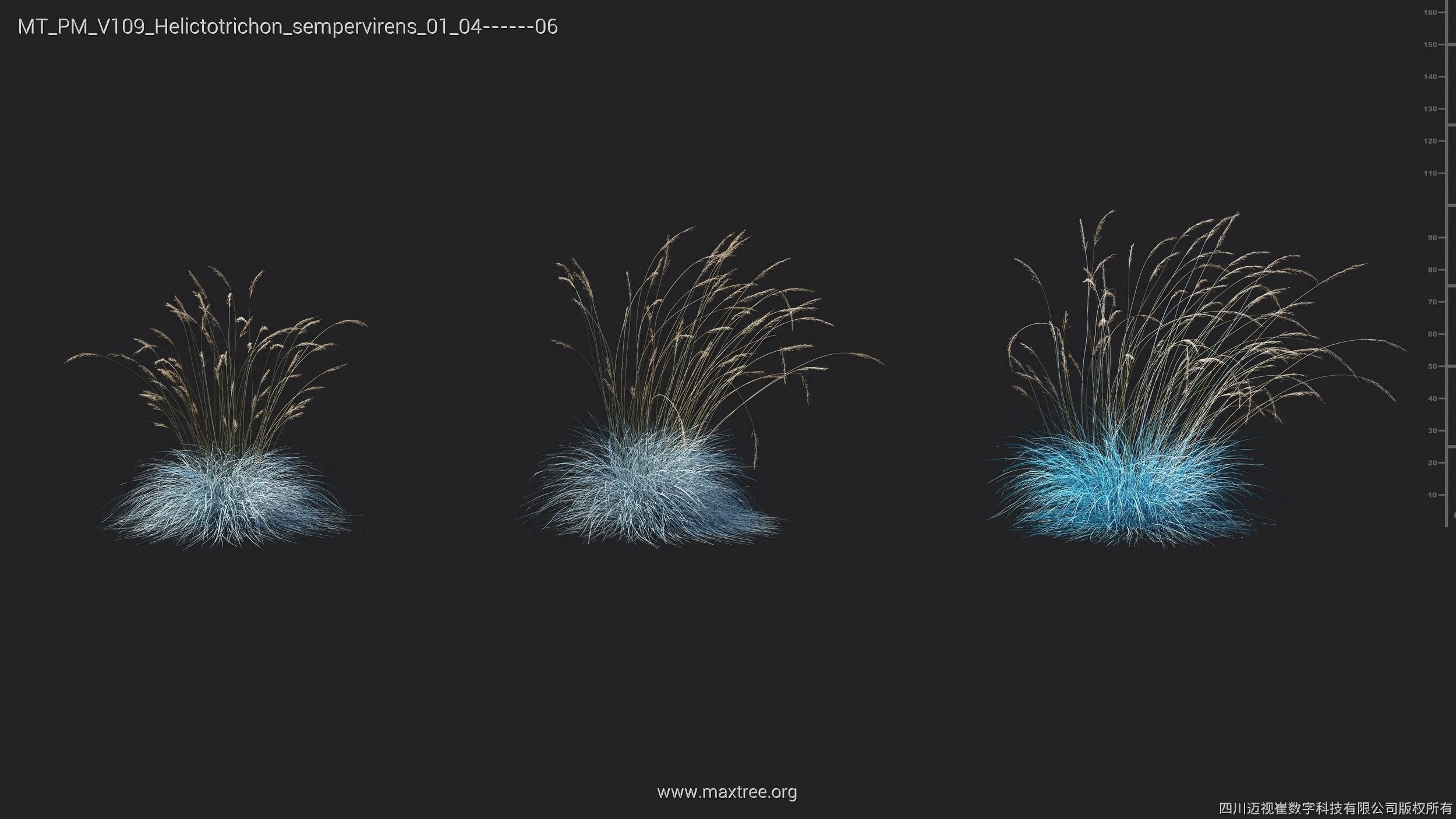 Maxtree Plant Models Vol 109 - Mesh 3D model_33