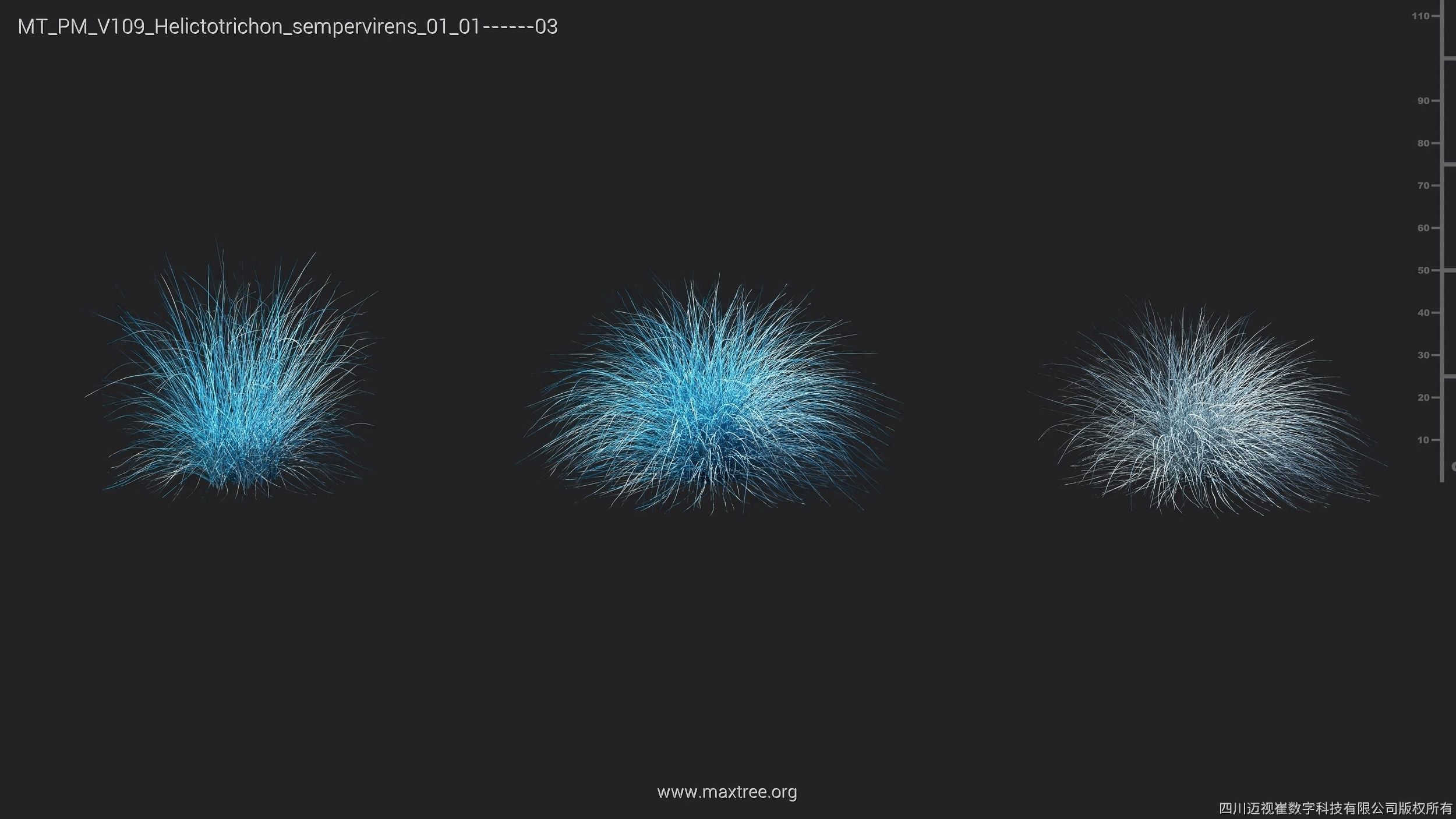 Maxtree Plant Models Vol 109 - Mesh 3D model_32