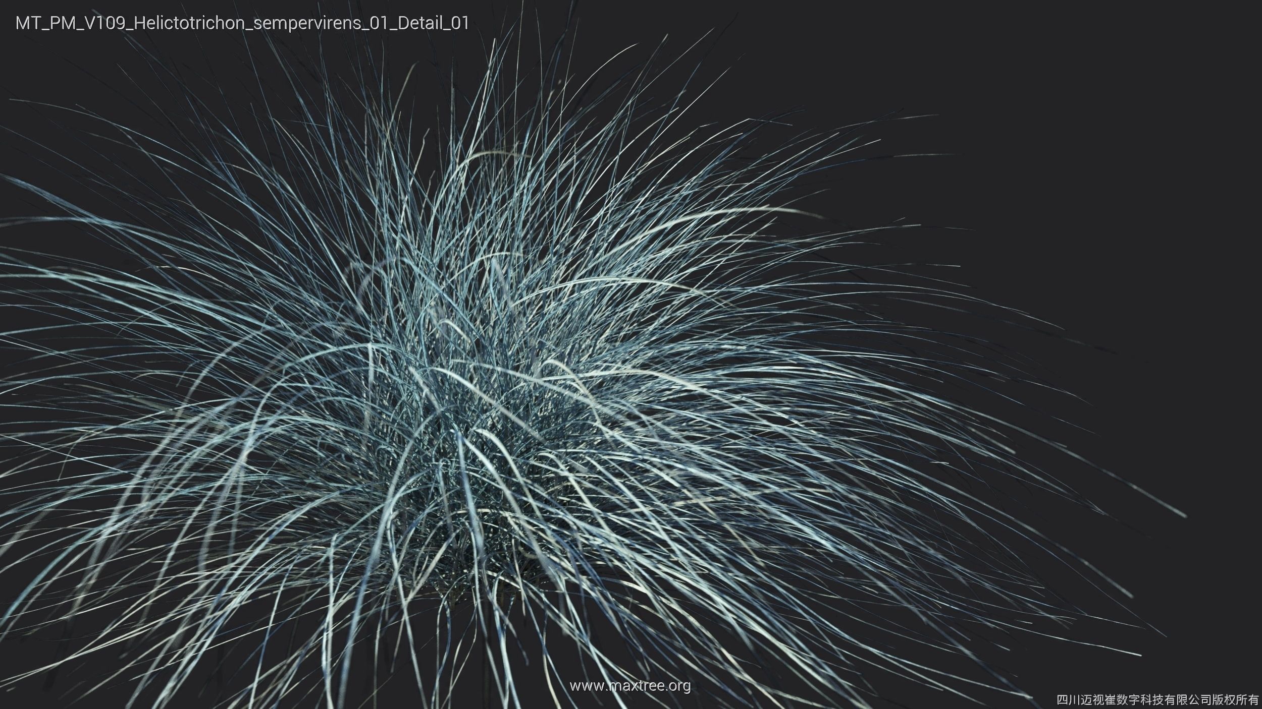 Maxtree Plant Models Vol 109 - Mesh 3D model_35