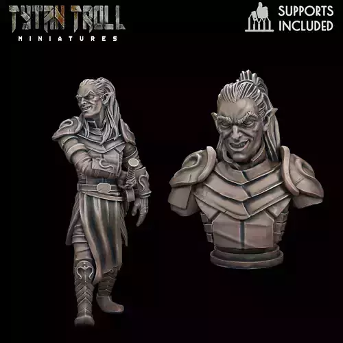 Curse of Strahd - Rahadin Bust Mini Combo - Pre-Supported 3D print model