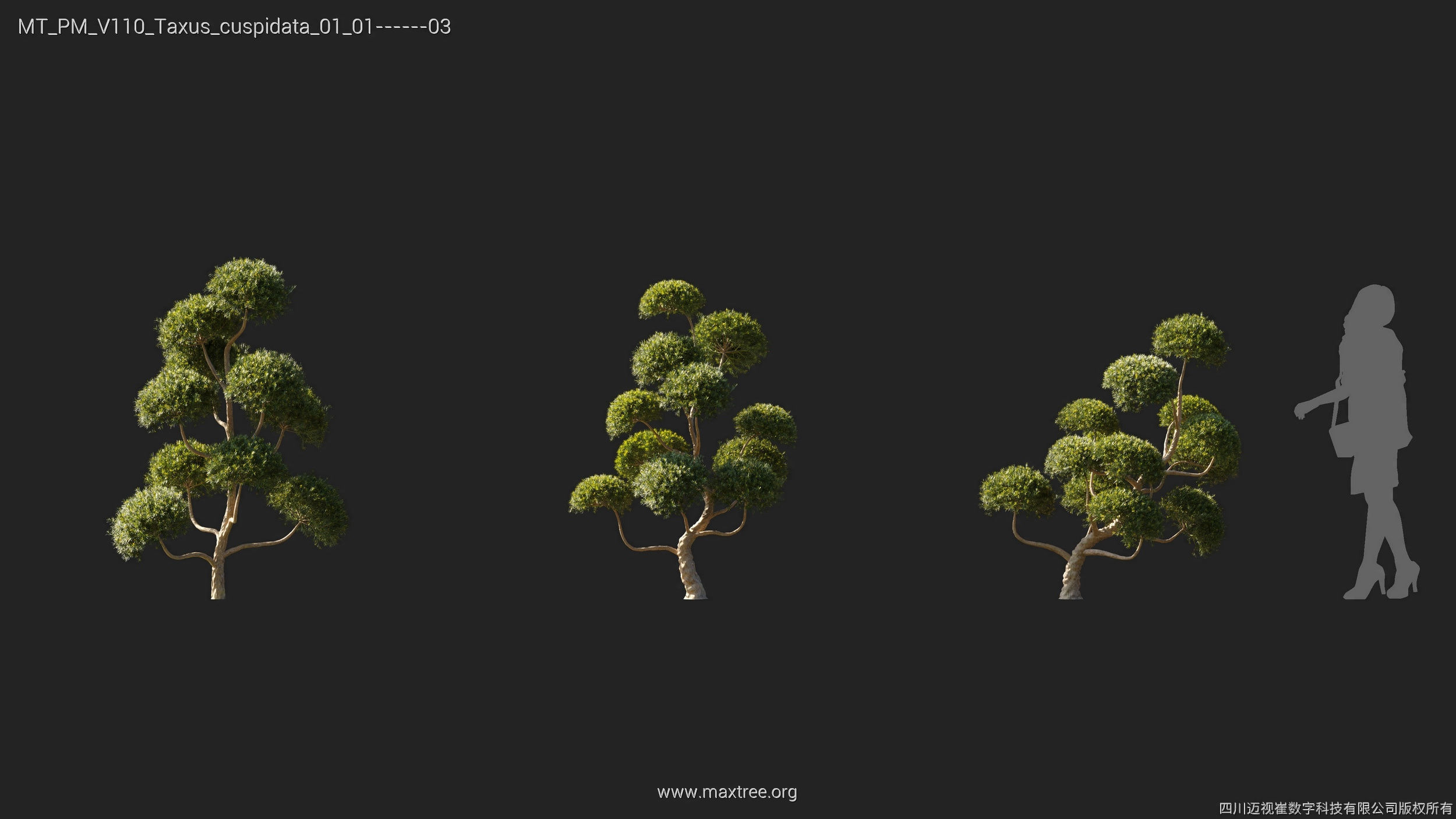 Maxtree Plant Models Vol 110 - Mesh 3D model_38