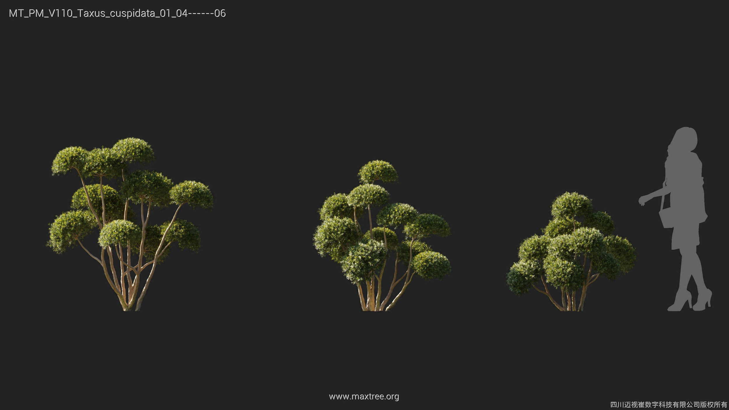 Maxtree Plant Models Vol 110 - Mesh 3D model_39