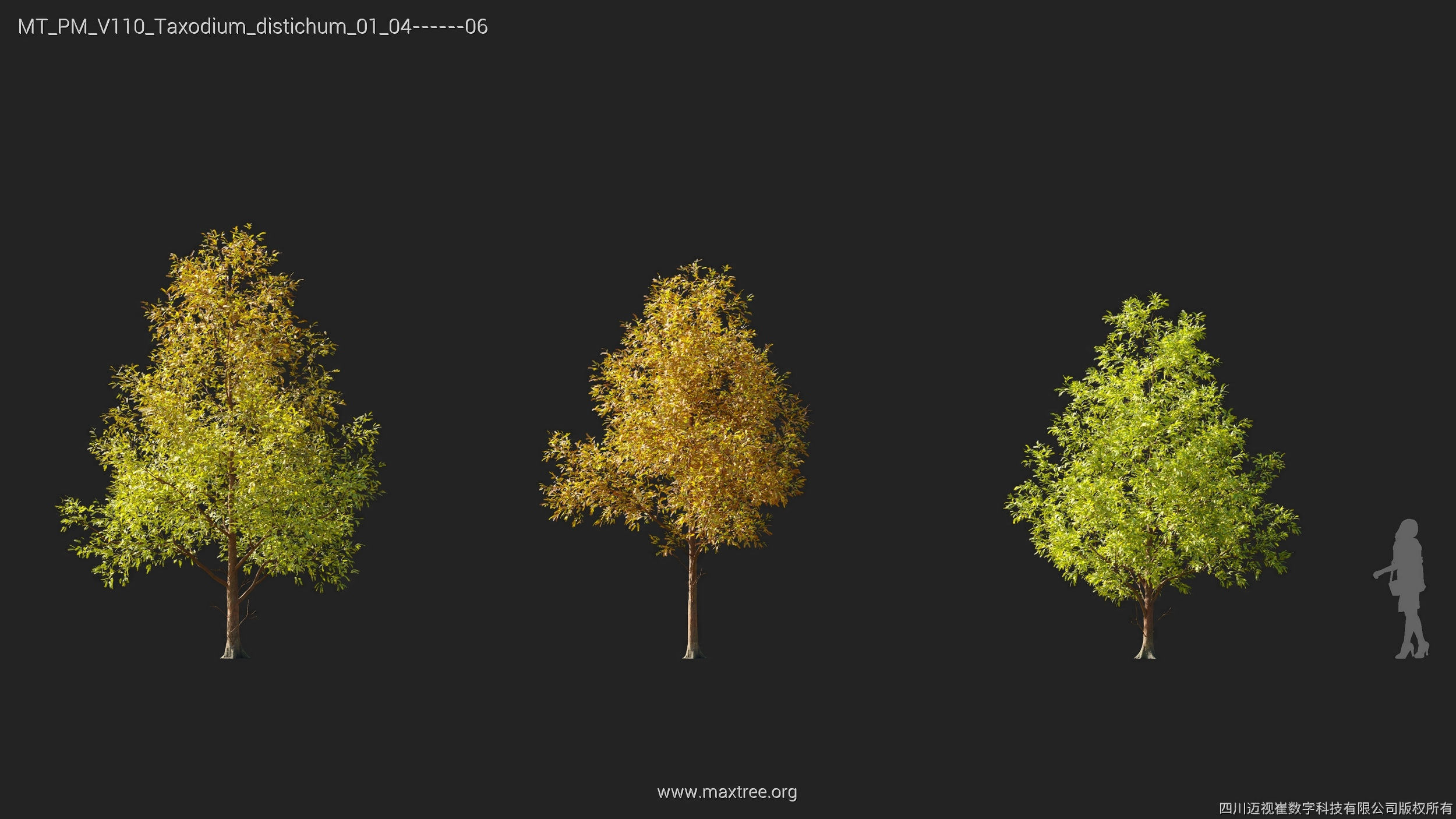 Maxtree Plant Models Vol 110 - Mesh 3D model_36
