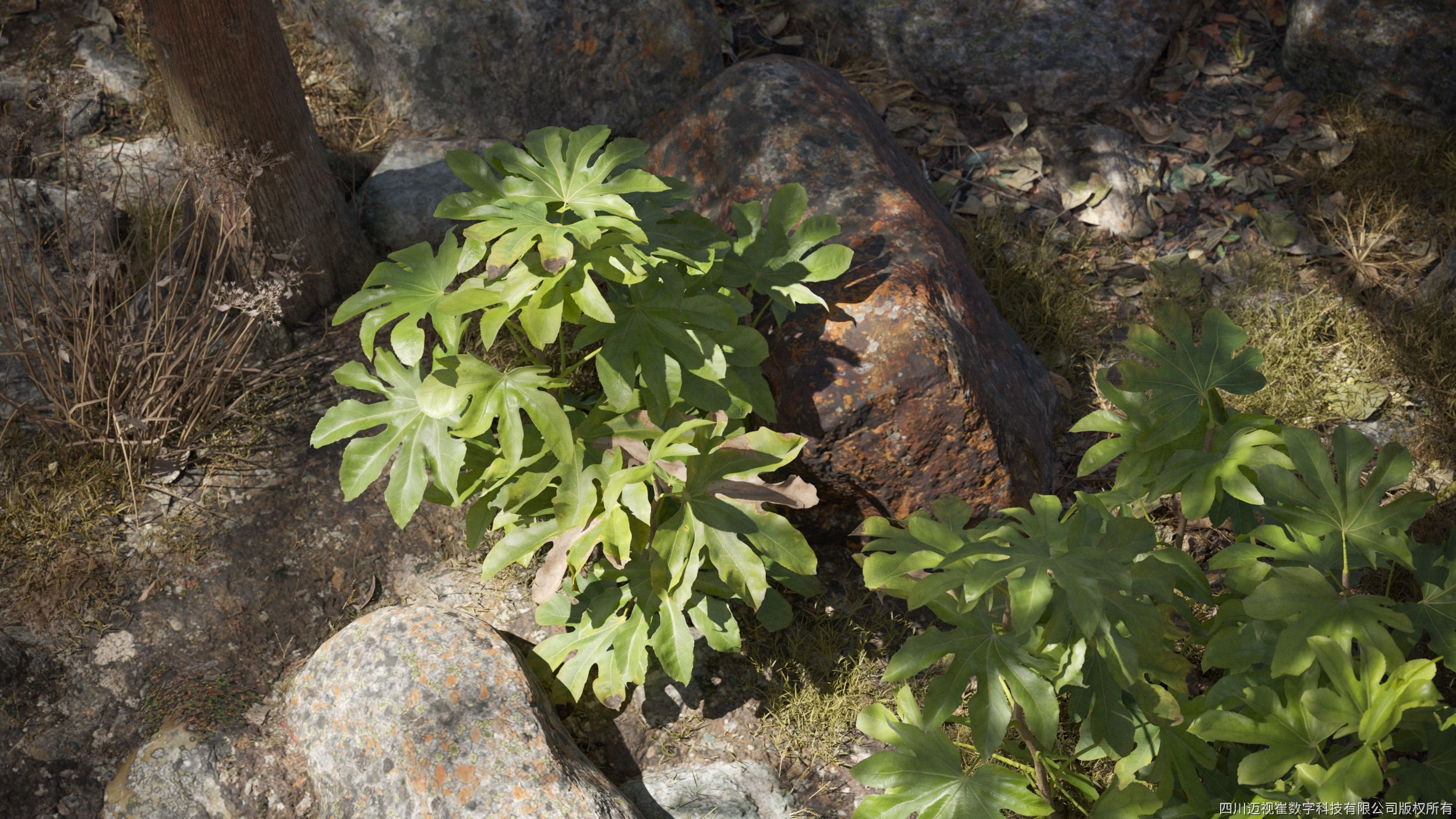 Maxtree Plant Models Vol 110 - Mesh 3D model_1