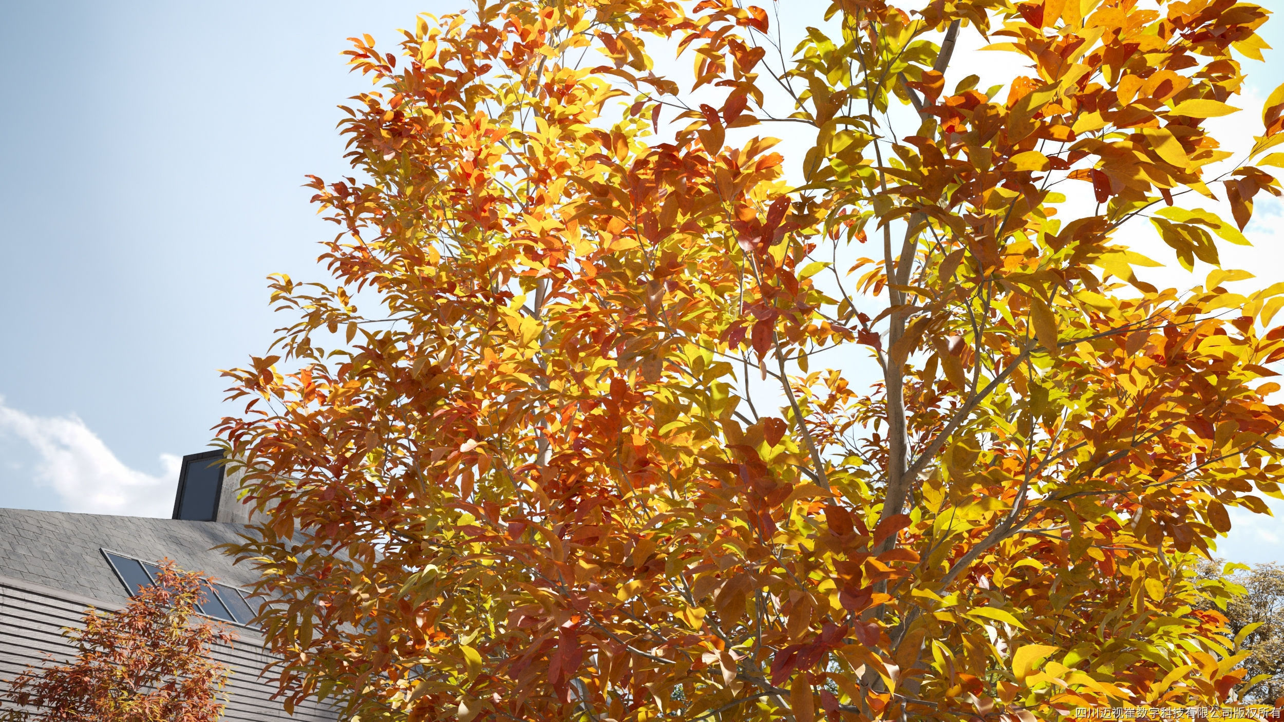 Maxtree Plant Models Vol 110 - Mesh 3D model_3