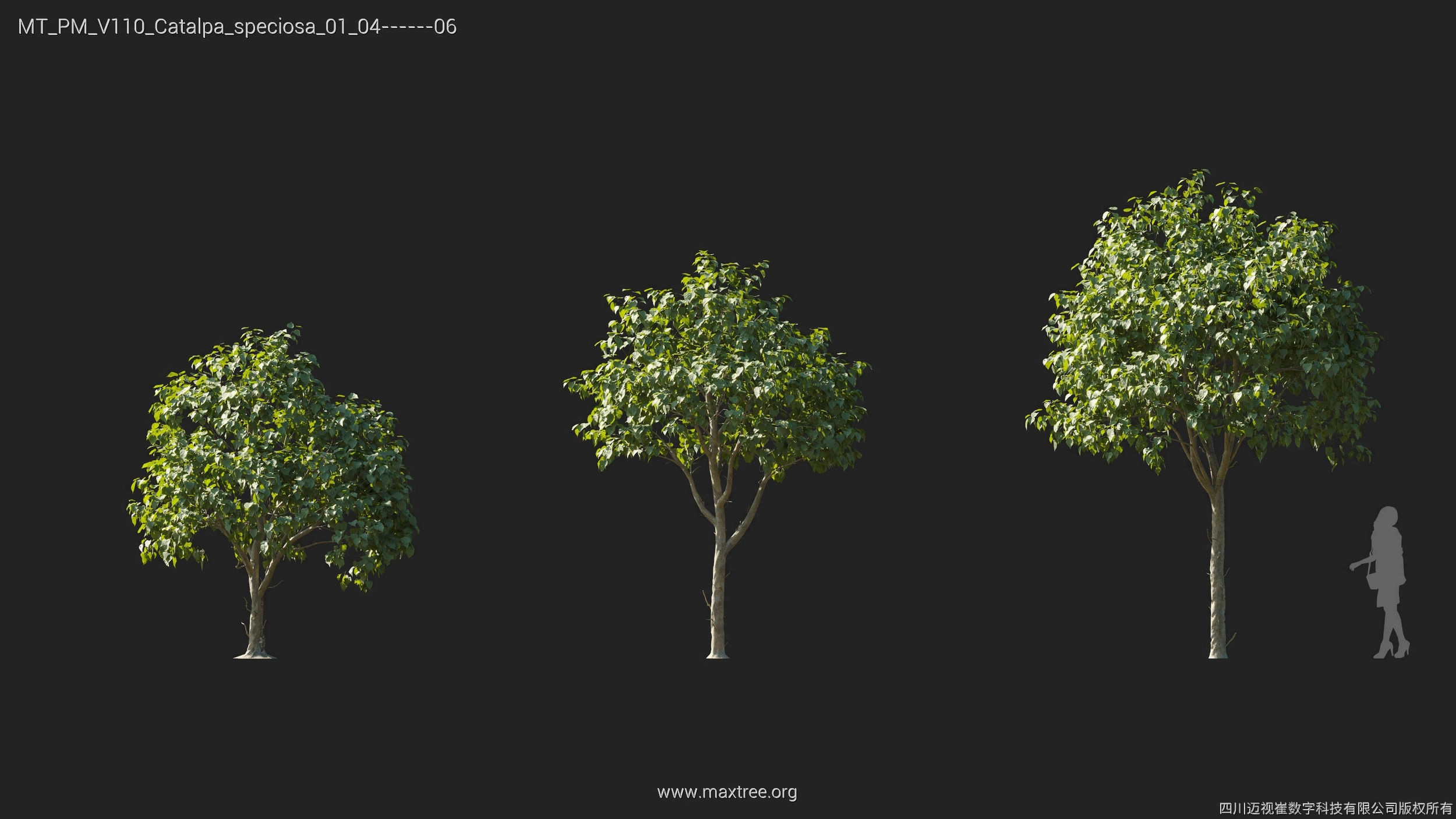 Maxtree Plant Models Vol 110 - Mesh 3D model_9