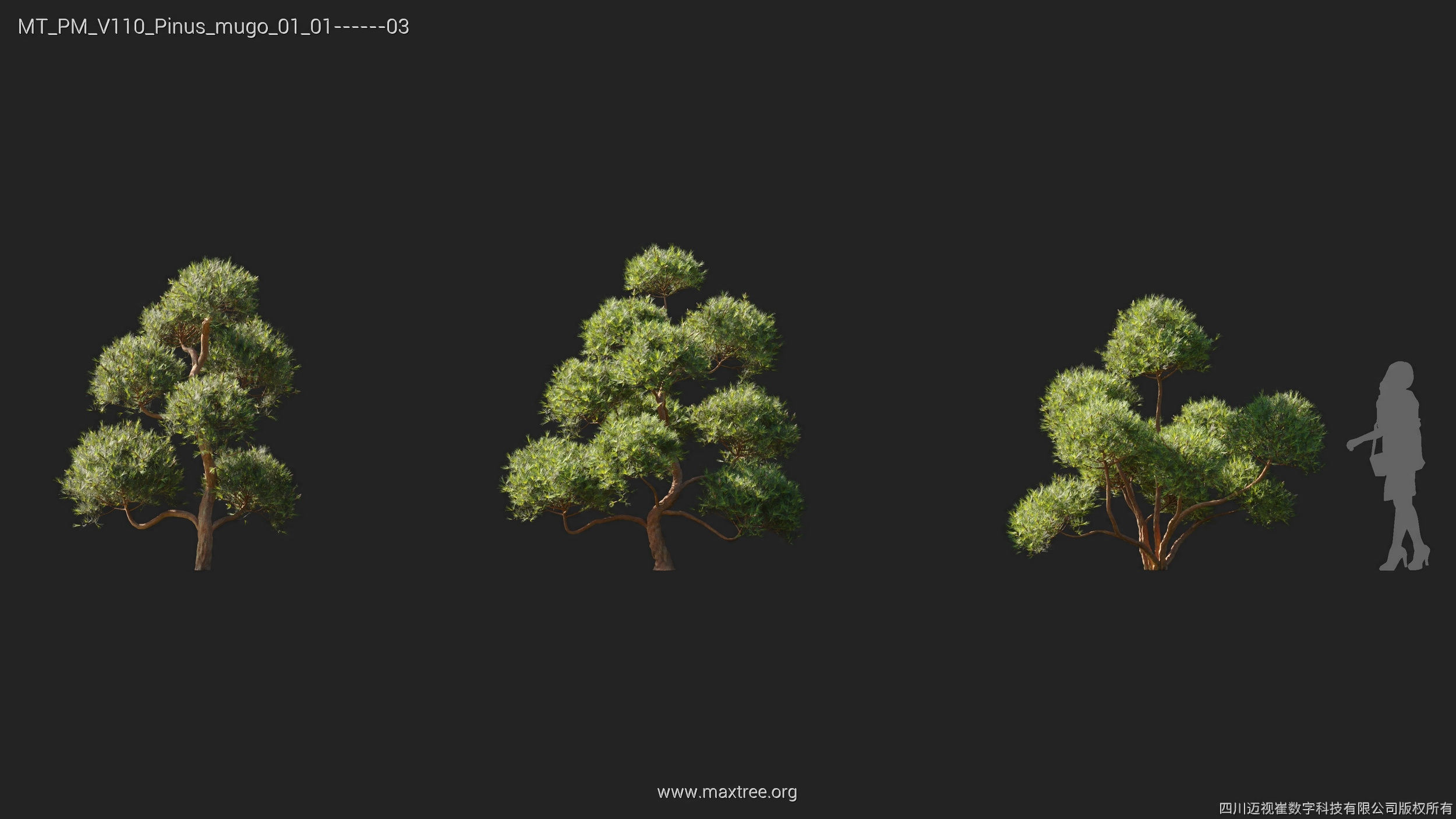Maxtree Plant Models Vol 110 - Mesh 3D model_20