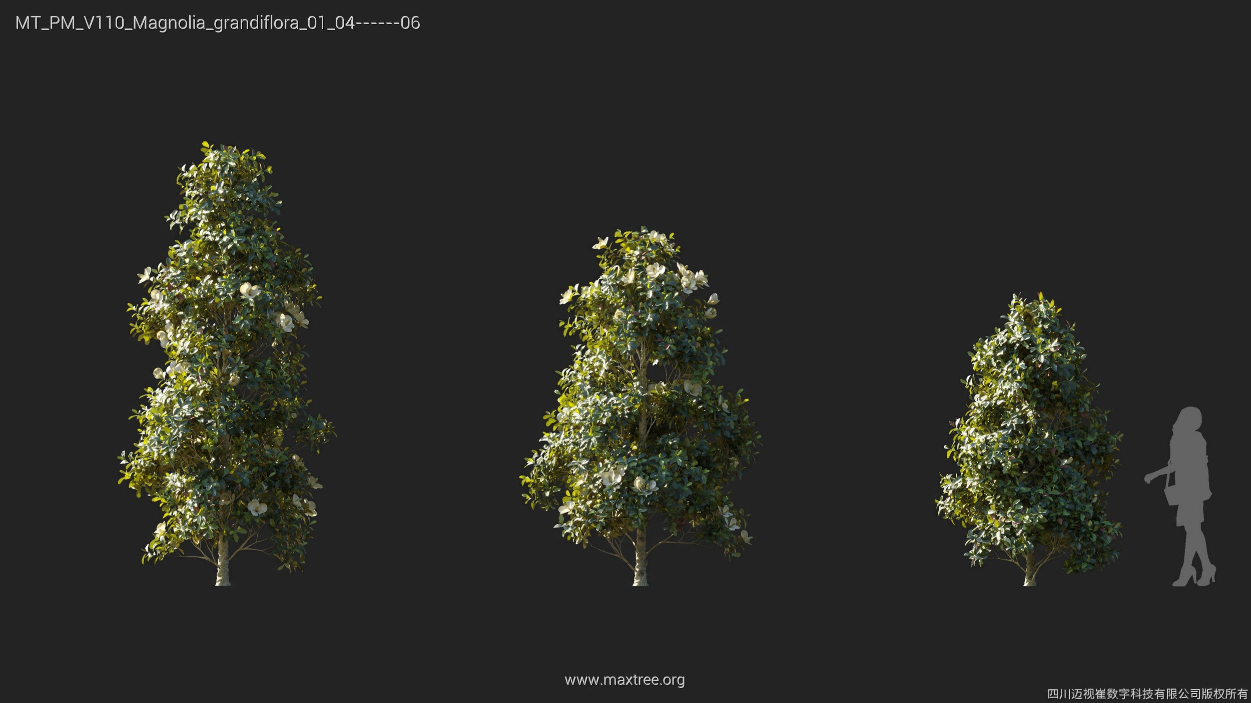 Maxtree Plant Models Vol 110 - Mesh 3D model_18