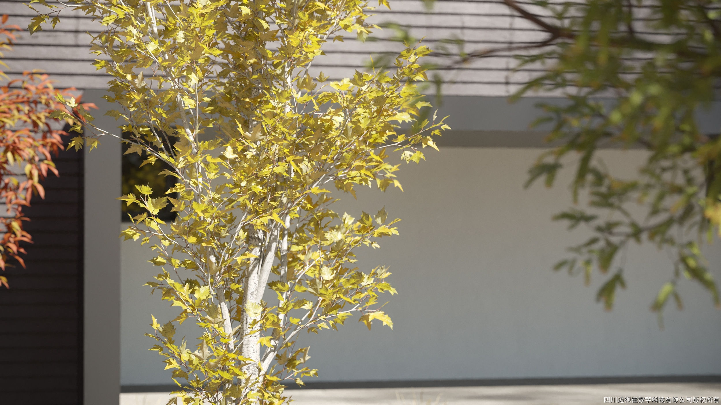 Maxtree Plant Models Vol 110 - Mesh 3D model_2