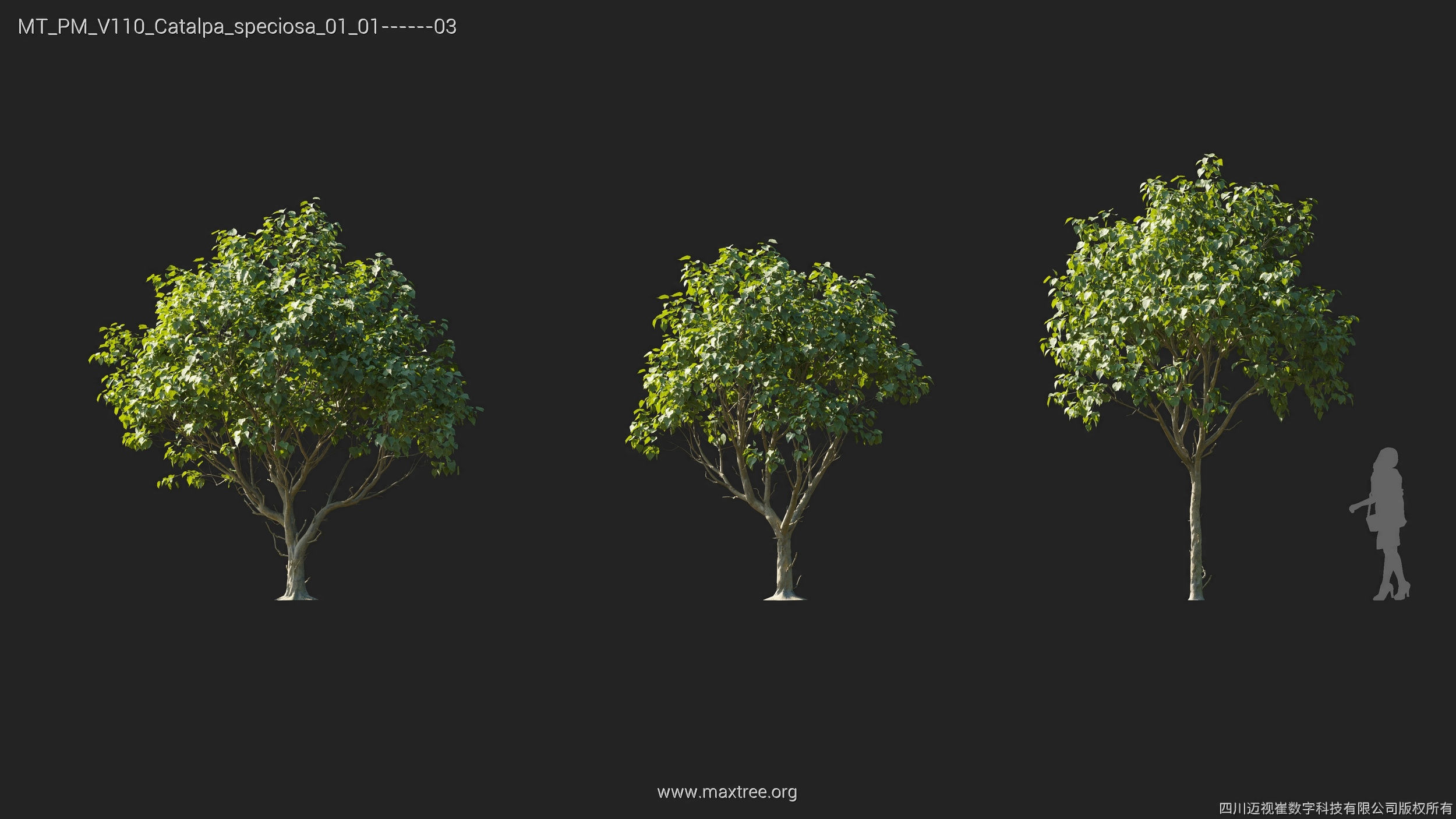 Maxtree Plant Models Vol 110 - Mesh 3D model_8