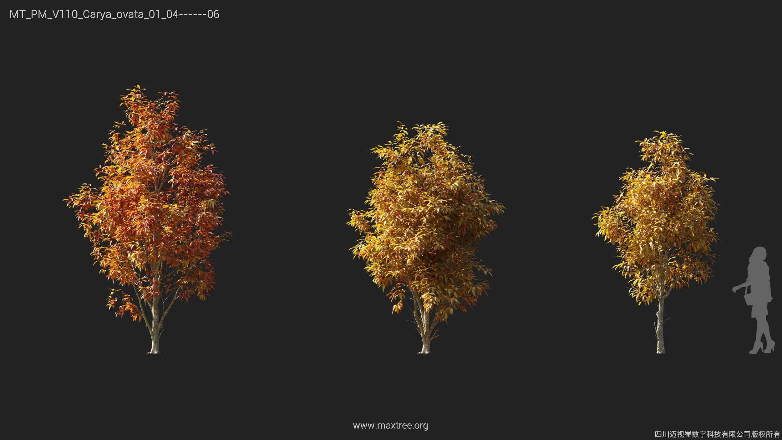 Maxtree Plant Models Vol 110 - Mesh 3D model_6