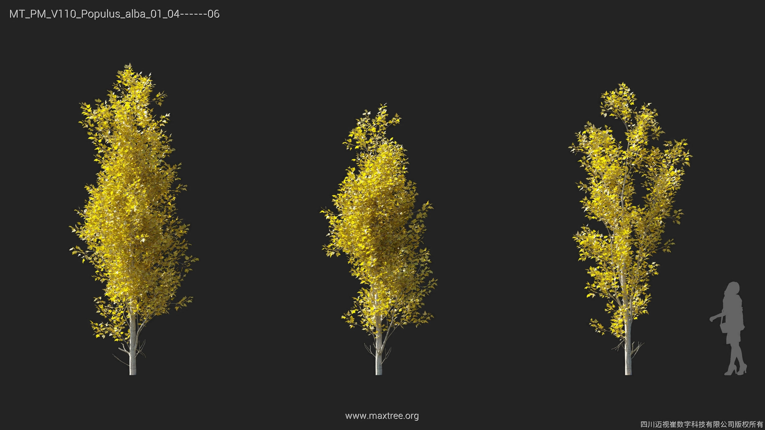 Maxtree Plant Models Vol 110 - Mesh 3D model_27