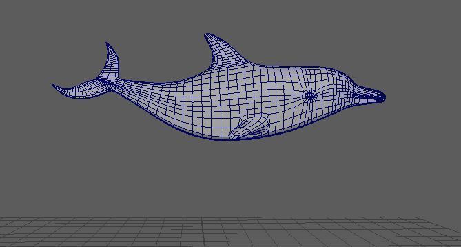 Dolphin Low-poly 3D model_7