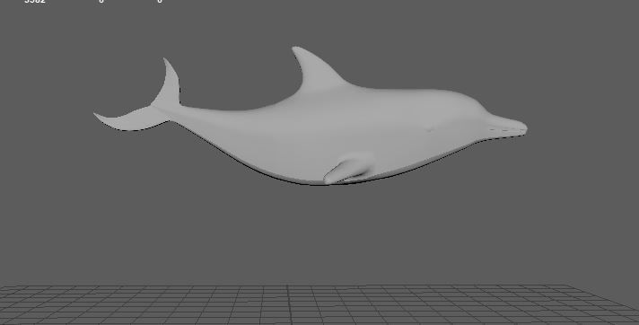 Dolphin Low-poly 3D model_5
