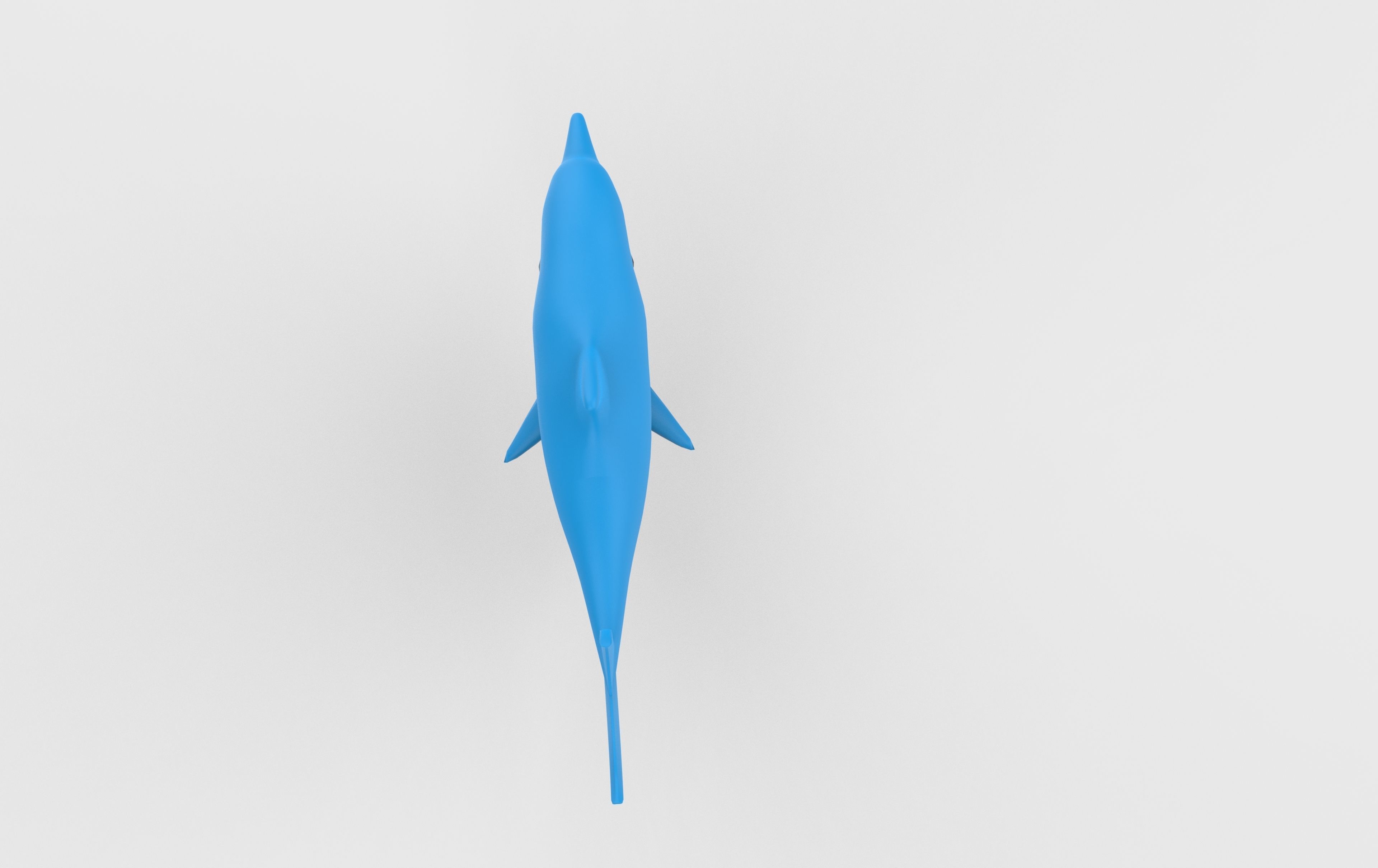 Dolphin Low-poly 3D model_6