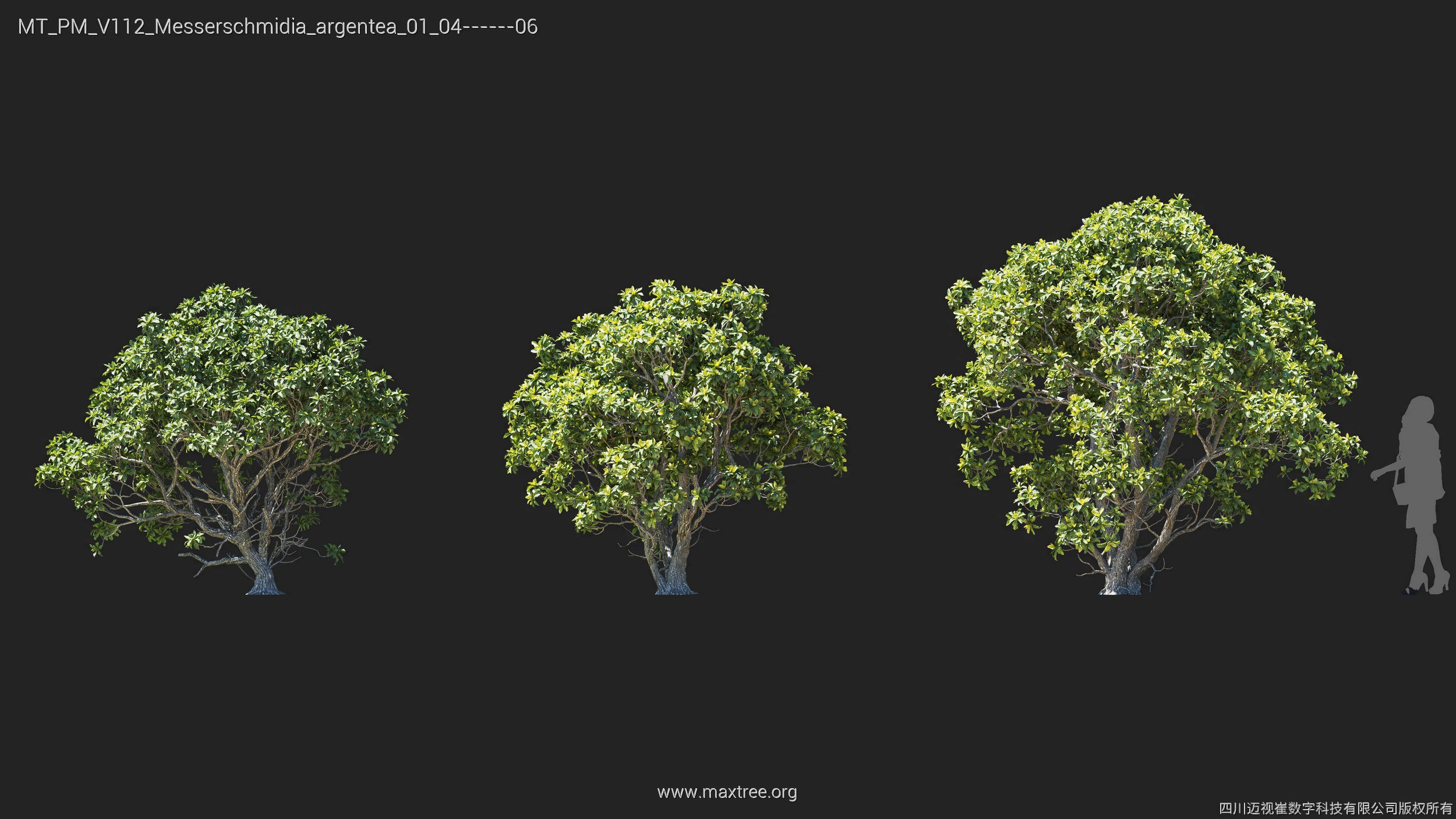 Maxtree Plant Models Vol 112 - Mesh 3D model_18