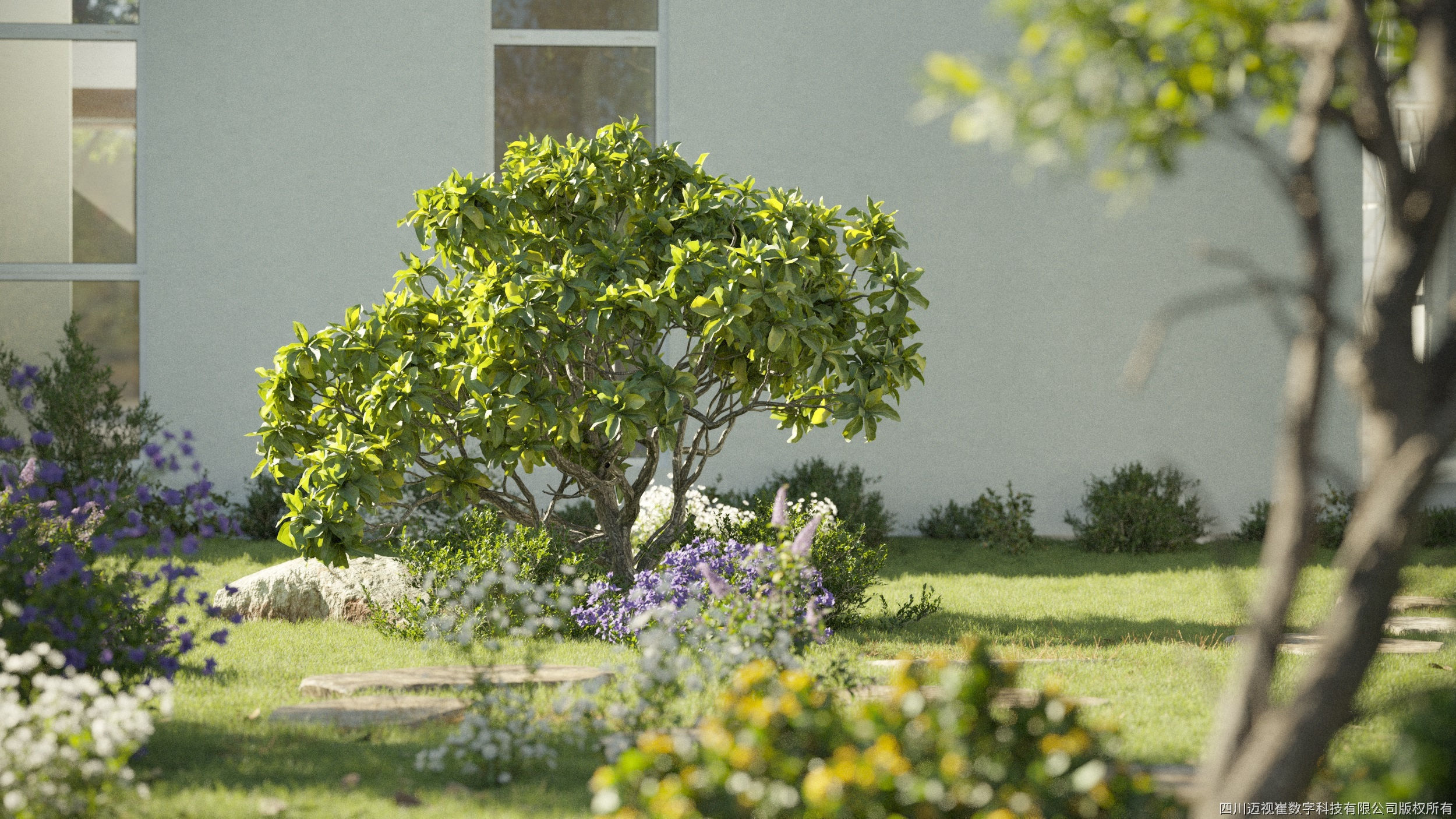 Maxtree Plant Models Vol 112 - Mesh 3D model_2