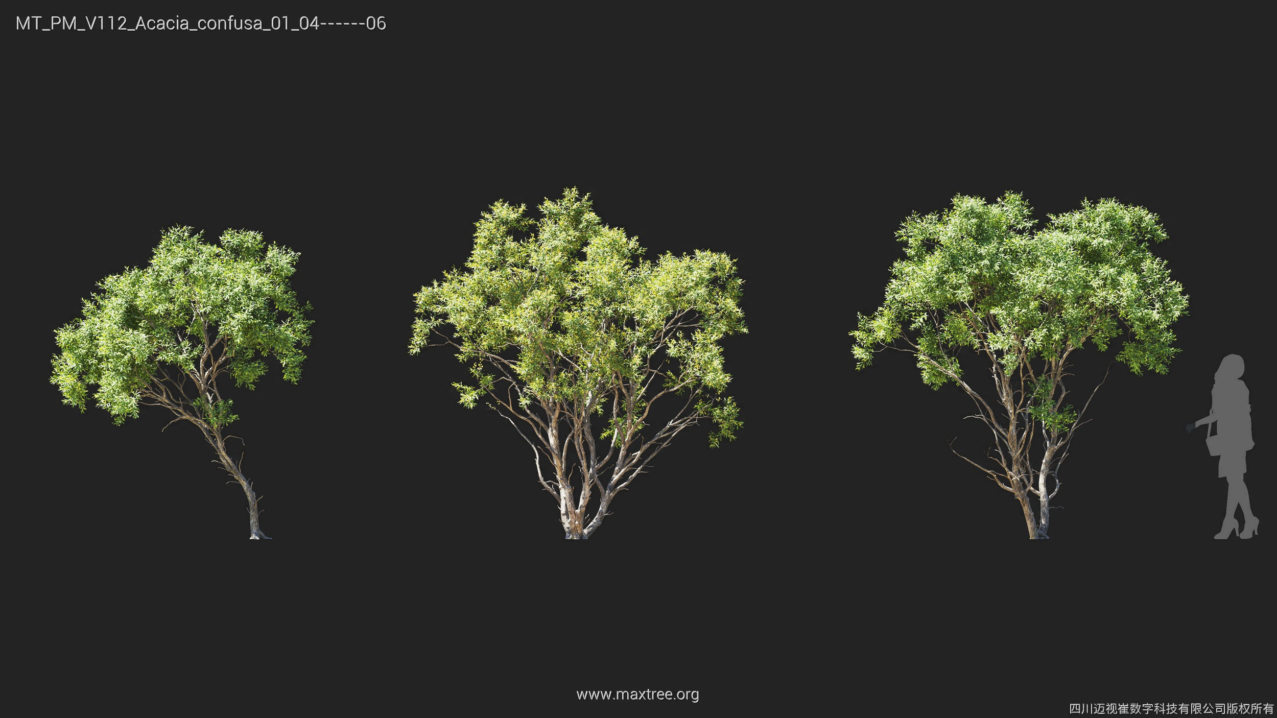 Maxtree Plant Models Vol 112 - Mesh 3D model_6