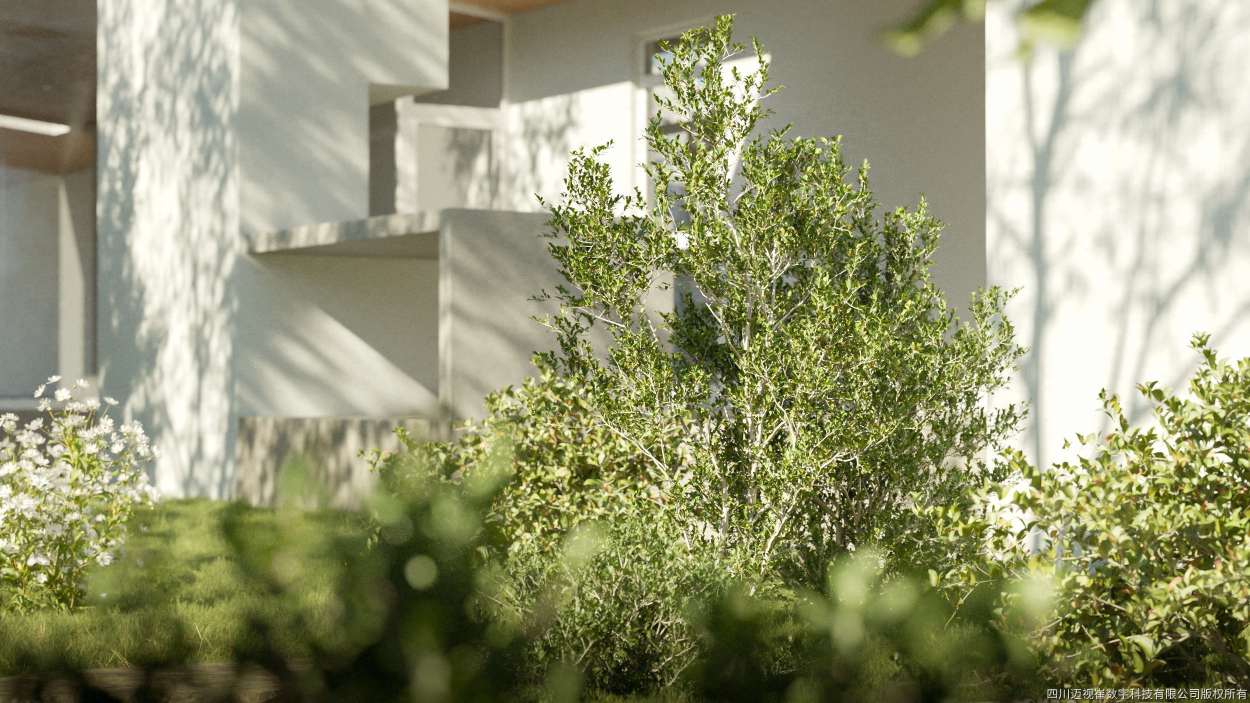 Maxtree Plant Models Vol 112 - Mesh 3D model_1