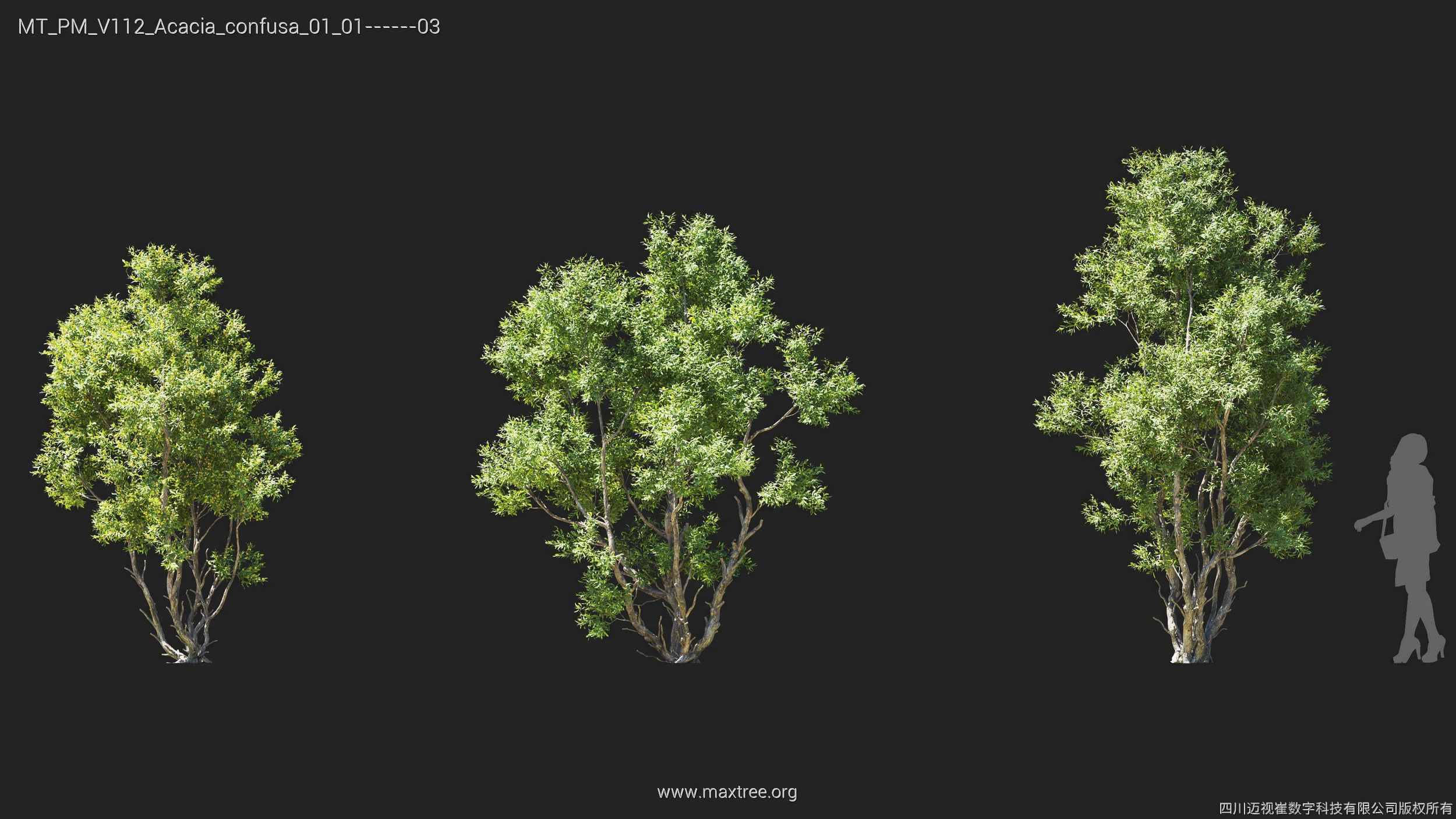 Maxtree Plant Models Vol 112 - Mesh 3D model_5