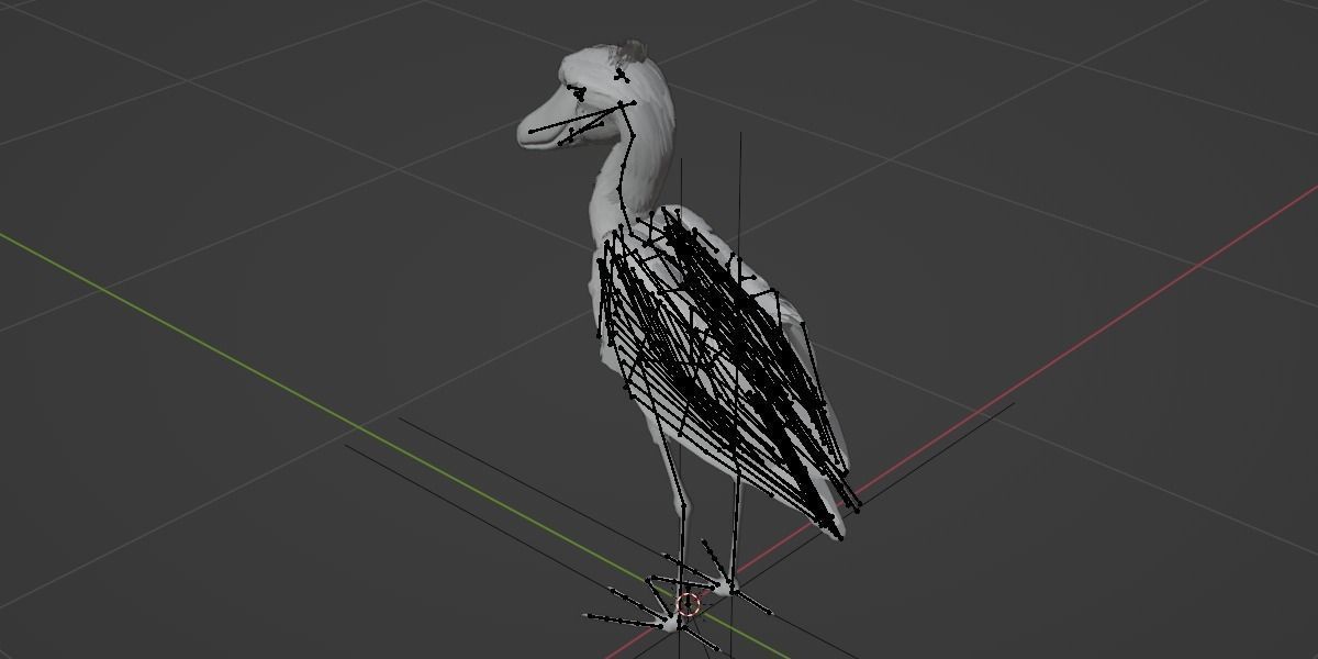 Shoebill 3D model_4