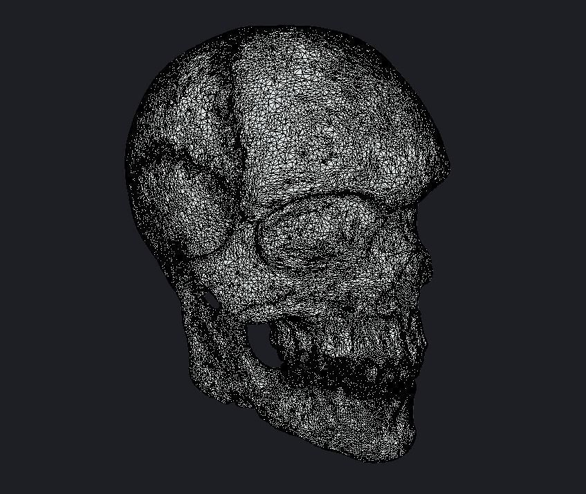 Skull 3D model 3D model_3