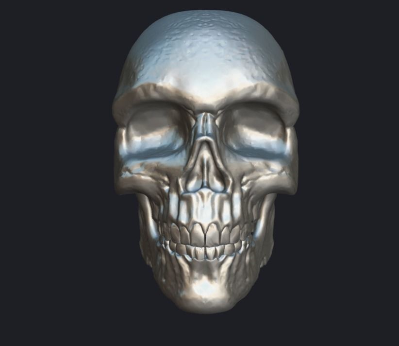 Skull 3D model 3D model_1