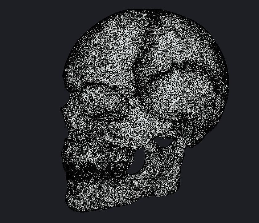 Skull 3D model 3D model_4