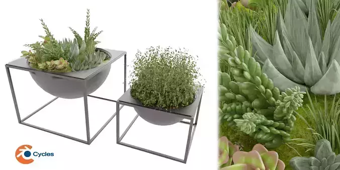  Collection plant vol 11 blender model 3D model