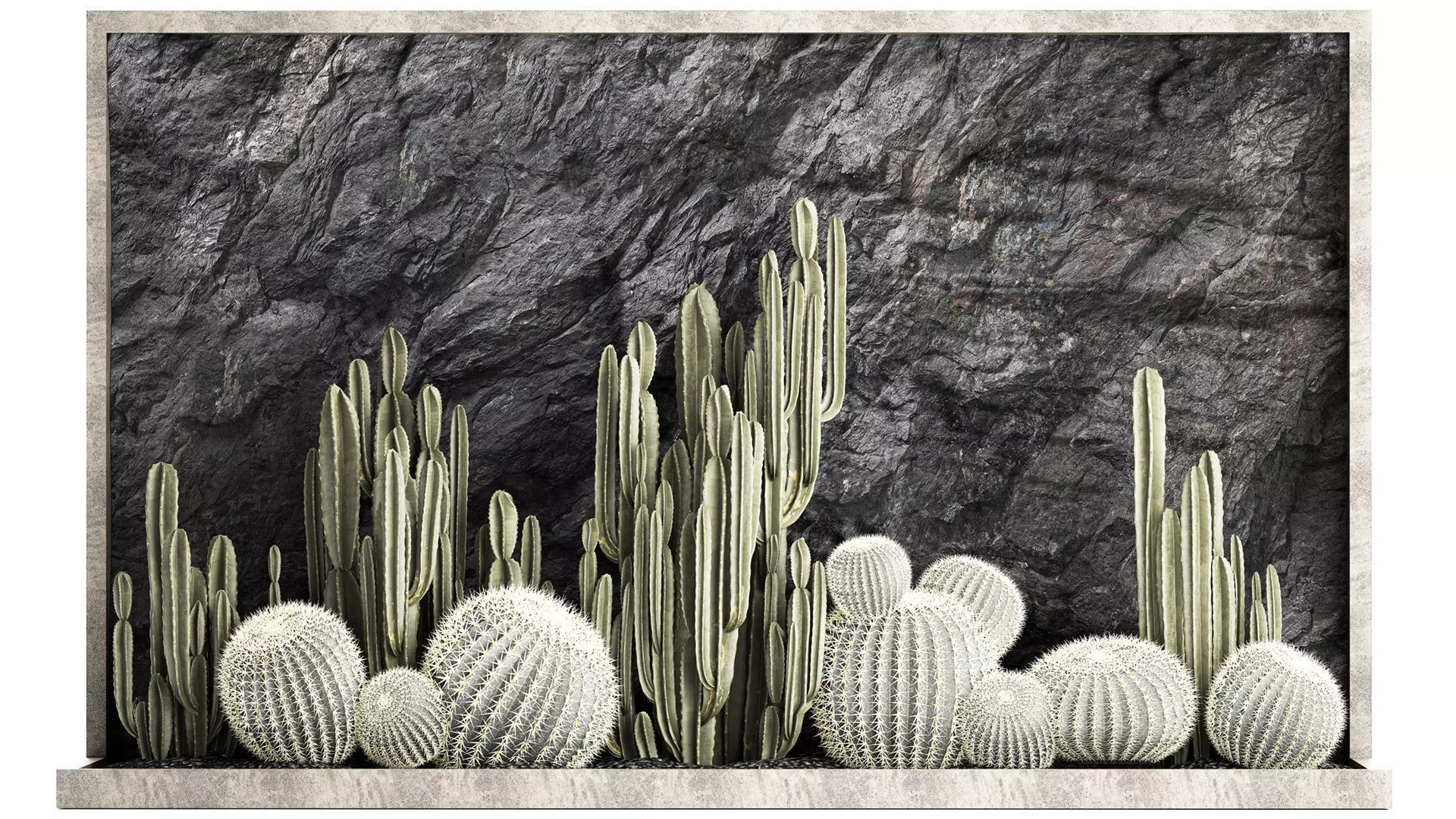 Beautiful cacti and a wall of black rock and pebbles 1279 3D model_0