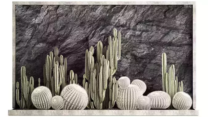 Beautiful cacti and a wall of black rock and pebbles 1279 3D model