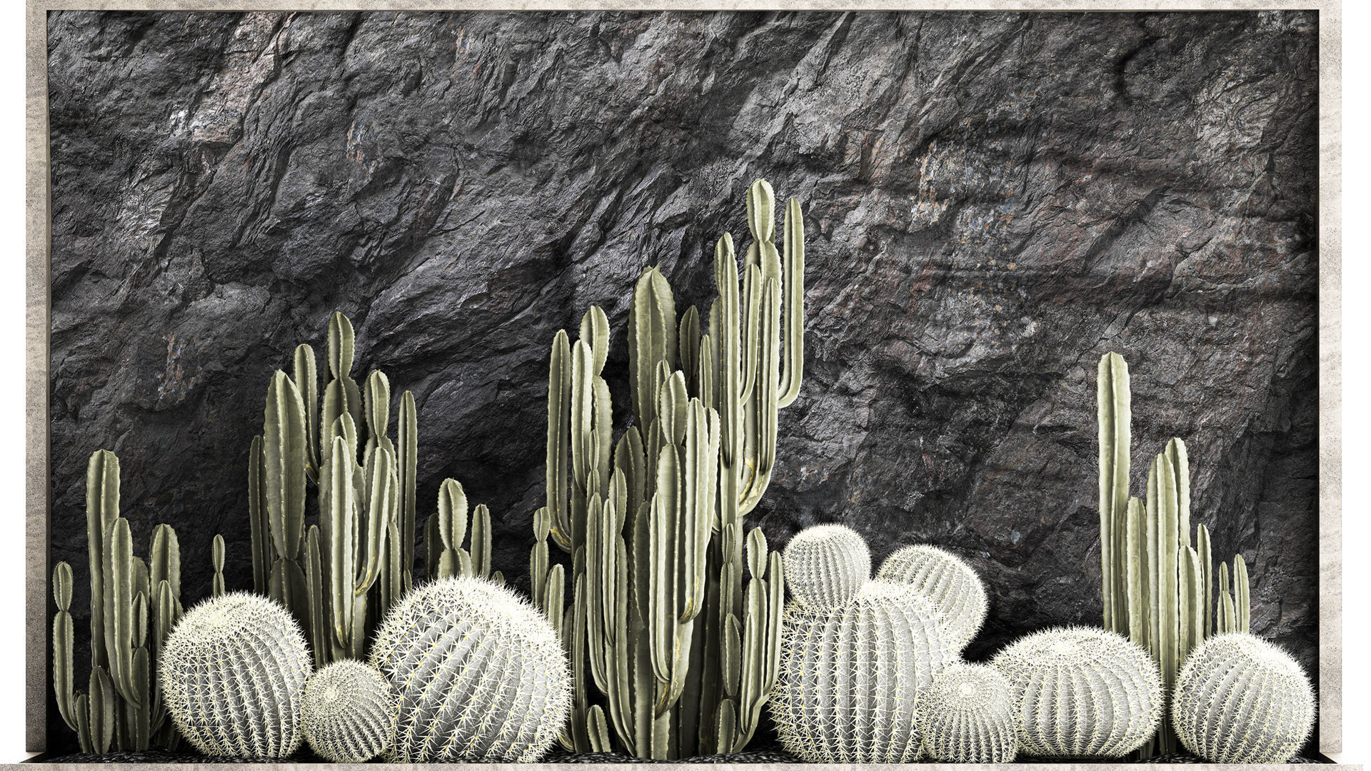 Beautiful cacti and a wall of black rock and pebbles 1279 3D model_5