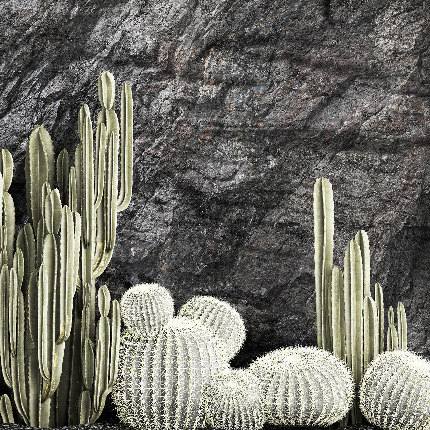 Beautiful cacti and a wall of black rock and pebbles 1279 3D model_13