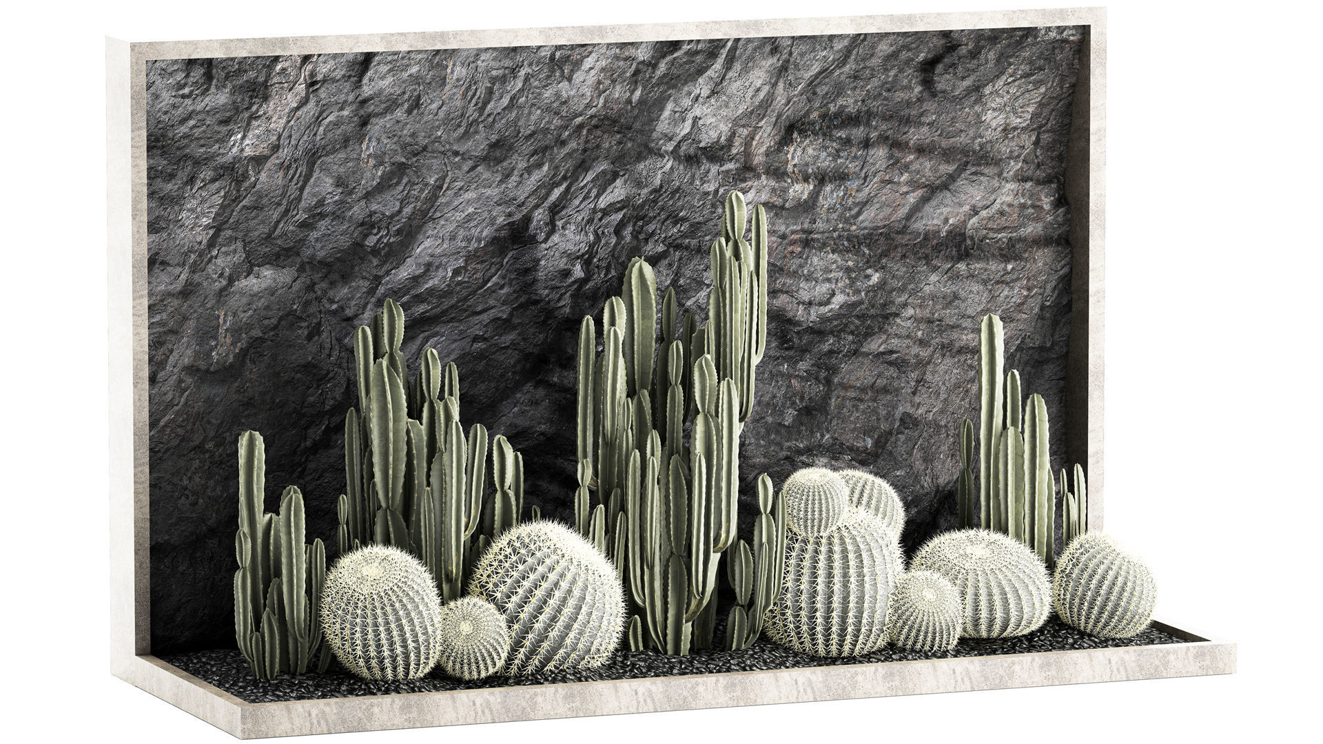Beautiful cacti and a wall of black rock and pebbles 1279 3D model_2