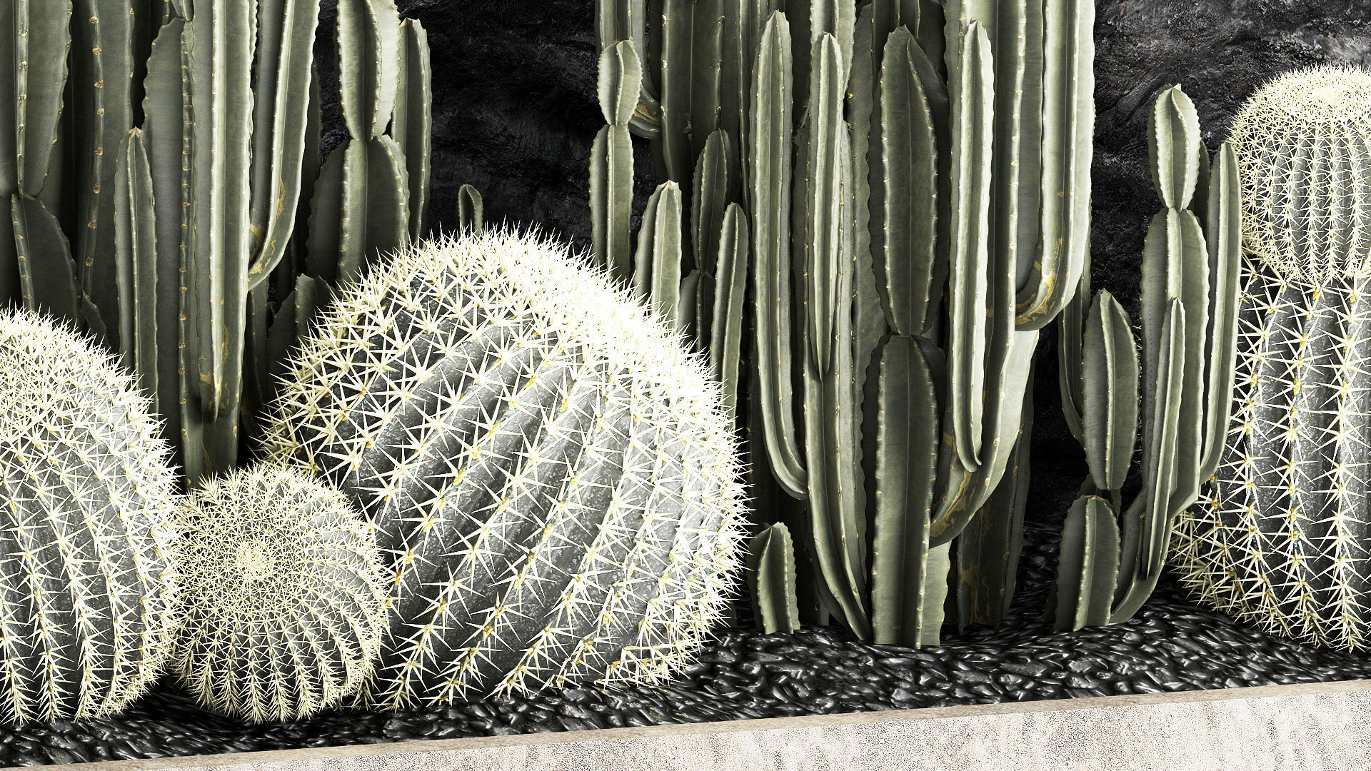 Beautiful cacti and a wall of black rock and pebbles 1279 3D model_4
