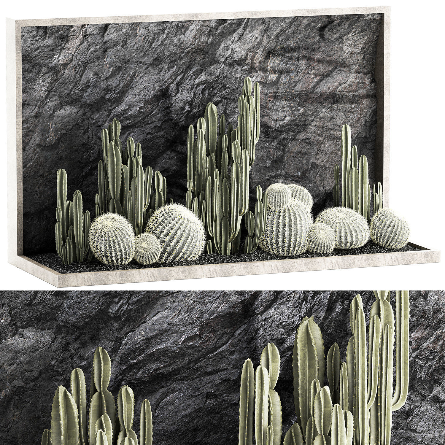 Beautiful cacti and a wall of black rock and pebbles 1279 3D model_17