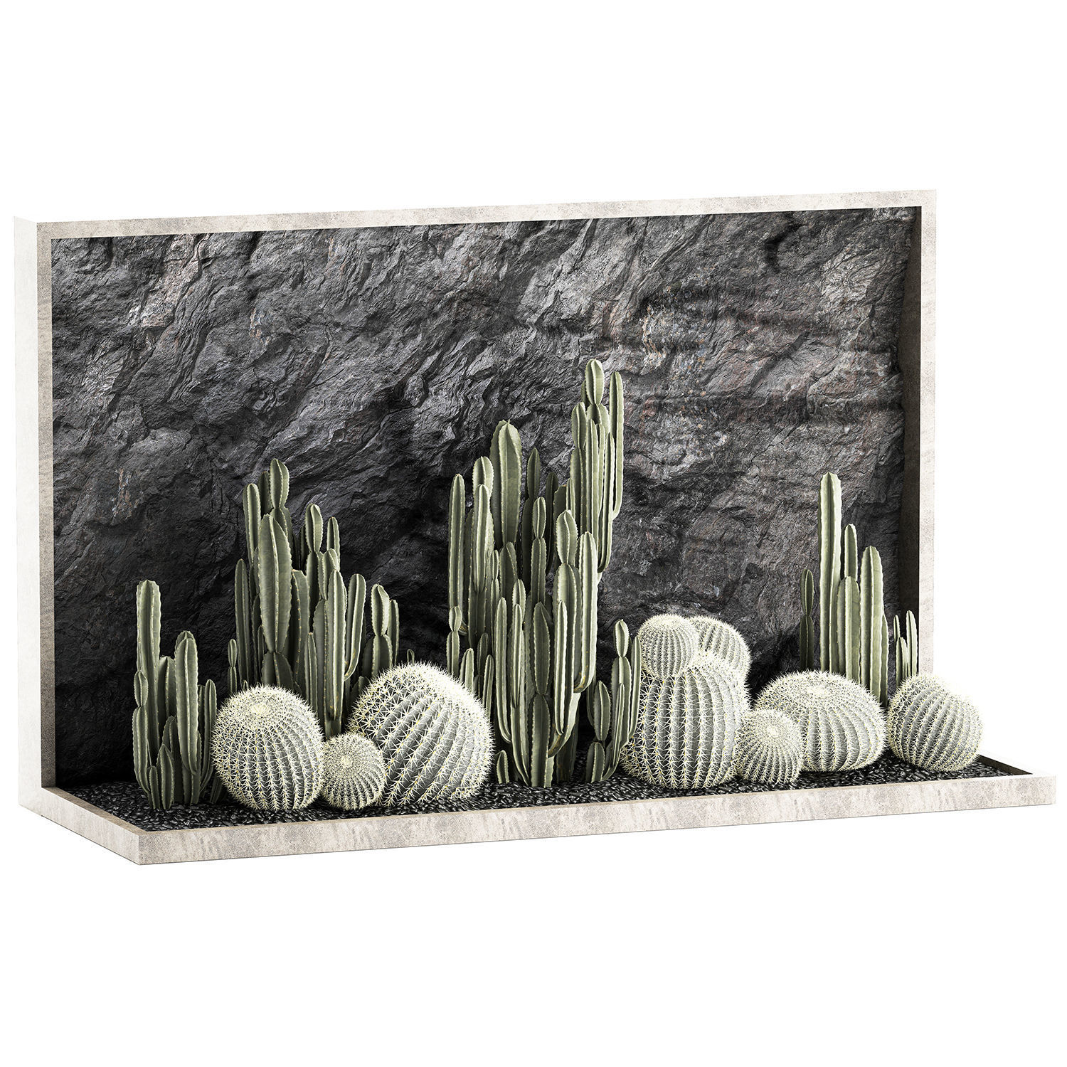 Beautiful cacti and a wall of black rock and pebbles 1279 3D model_10