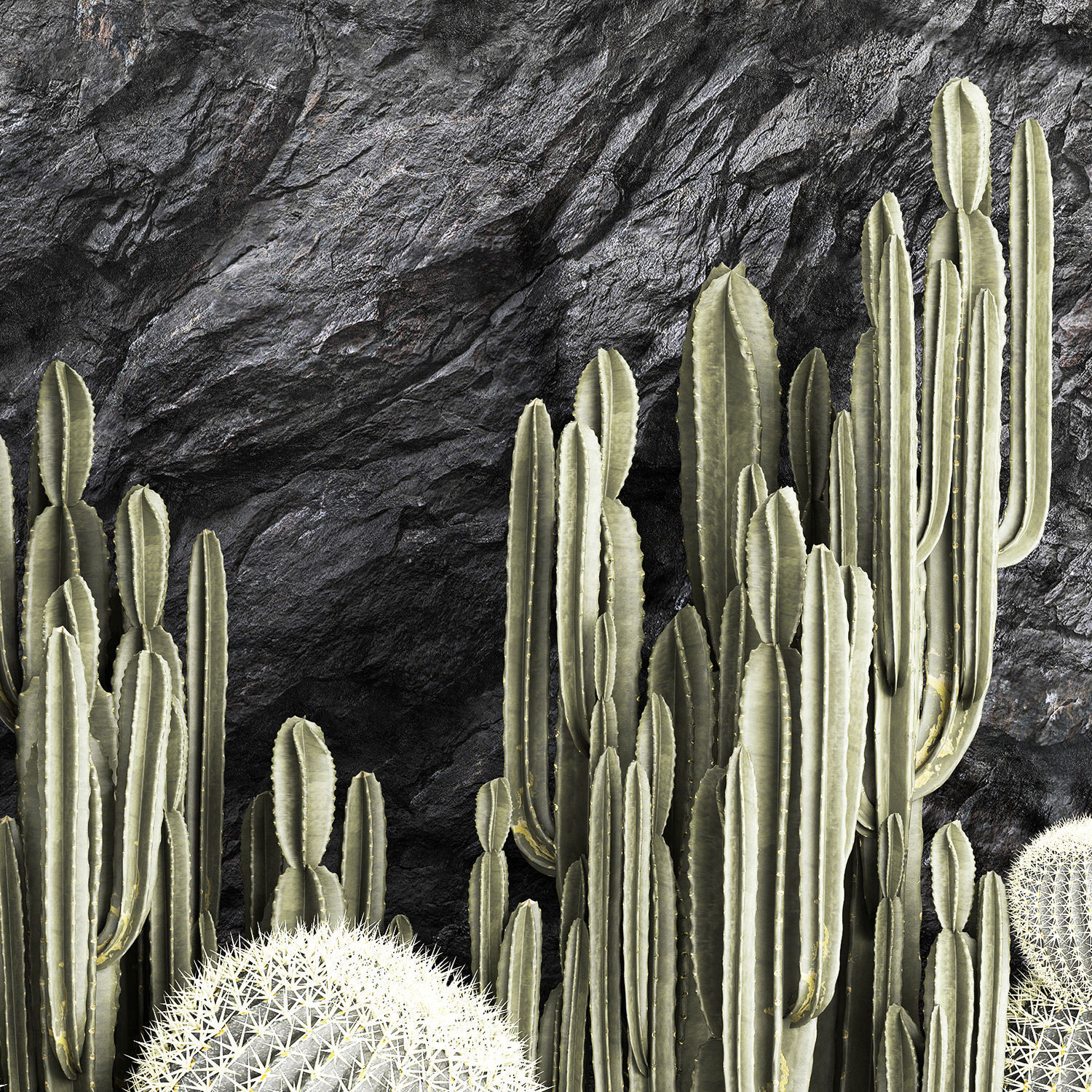 Beautiful cacti and a wall of black rock and pebbles 1279 3D model_14