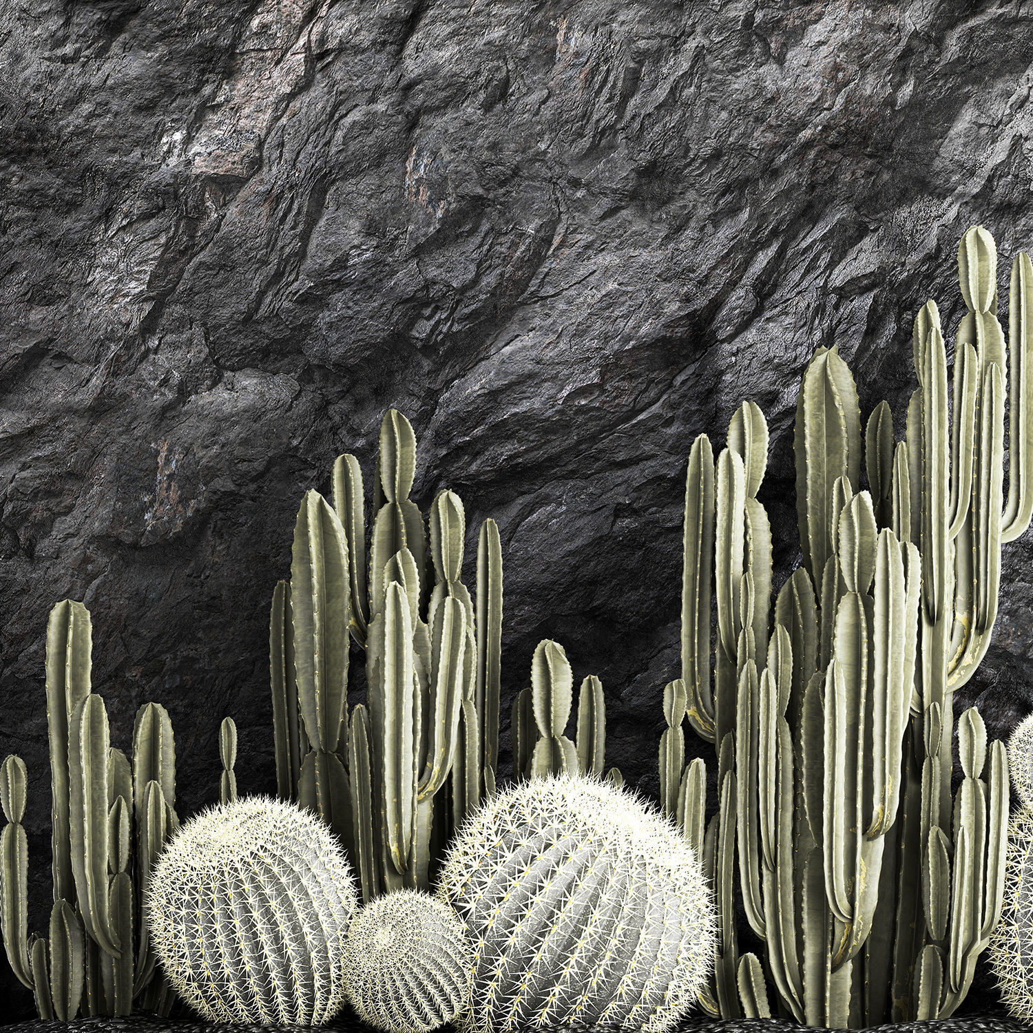 Beautiful cacti and a wall of black rock and pebbles 1279 3D model_11