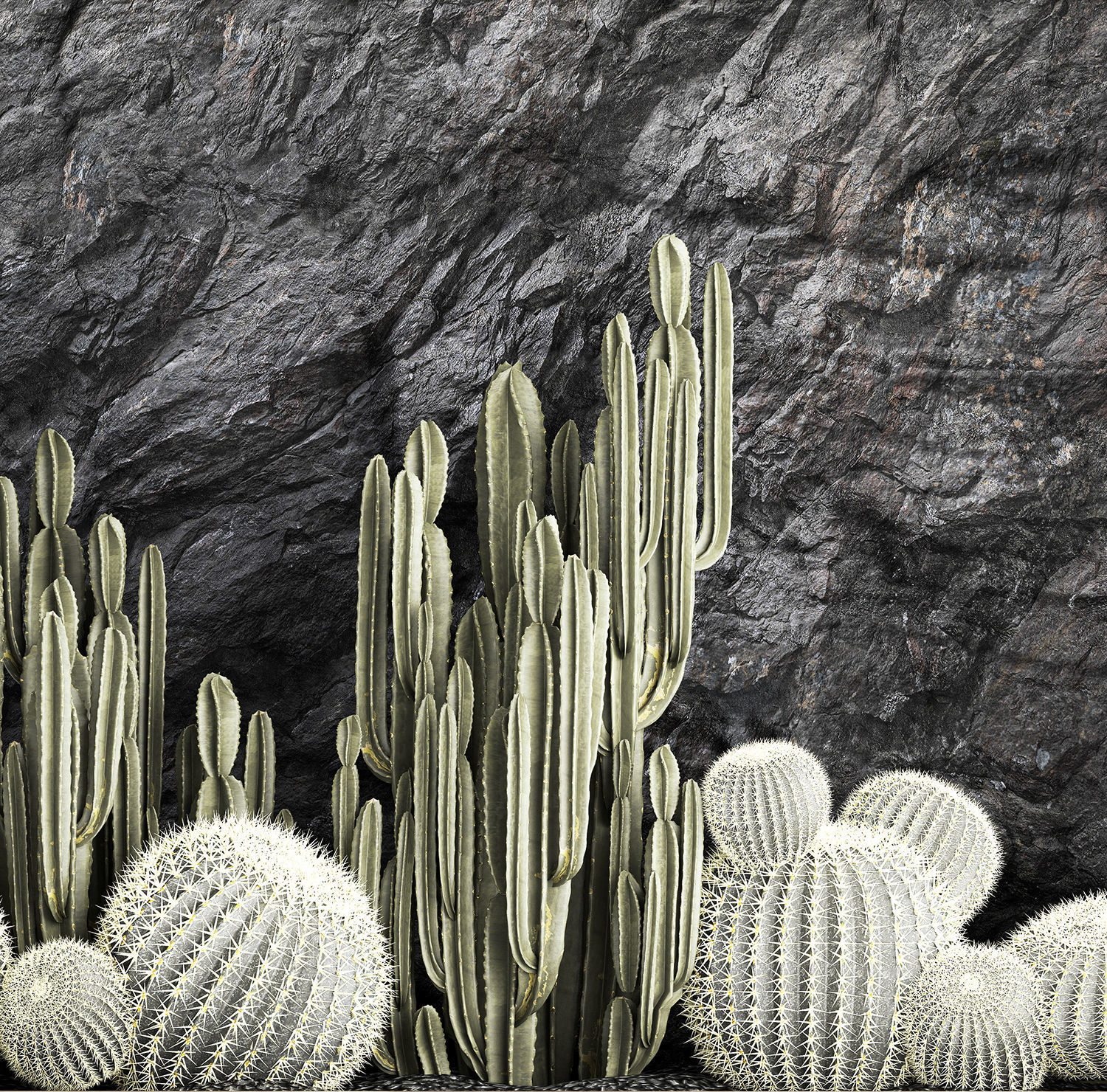 Beautiful cacti and a wall of black rock and pebbles 1279 3D model_12